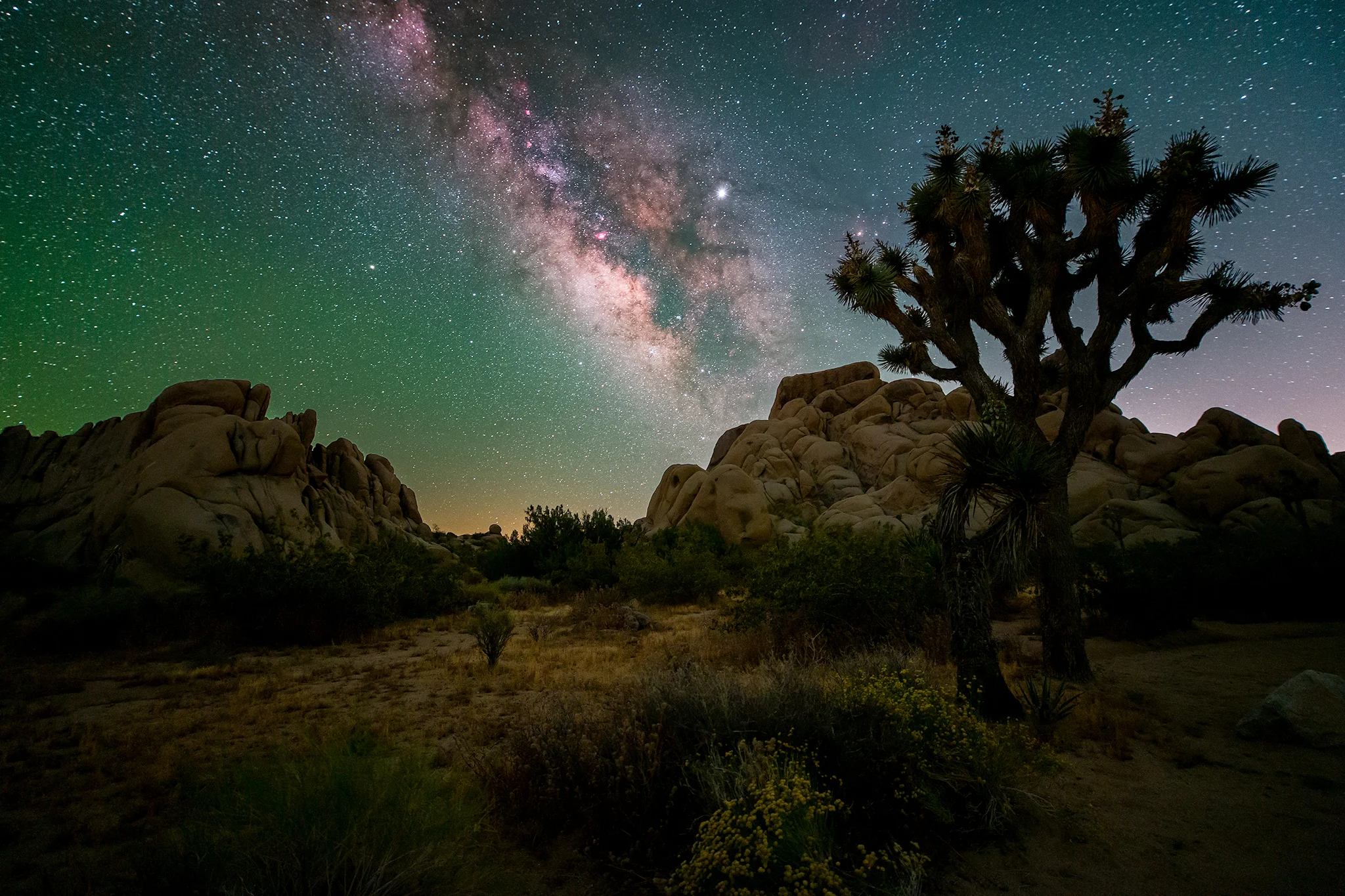 Joshua Tree Milky Way FB.jpg