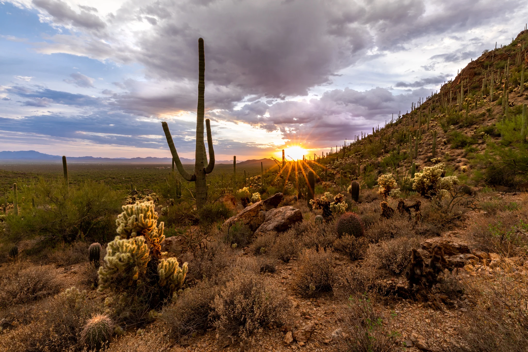 Gates Pass Sunset FB-.jpg