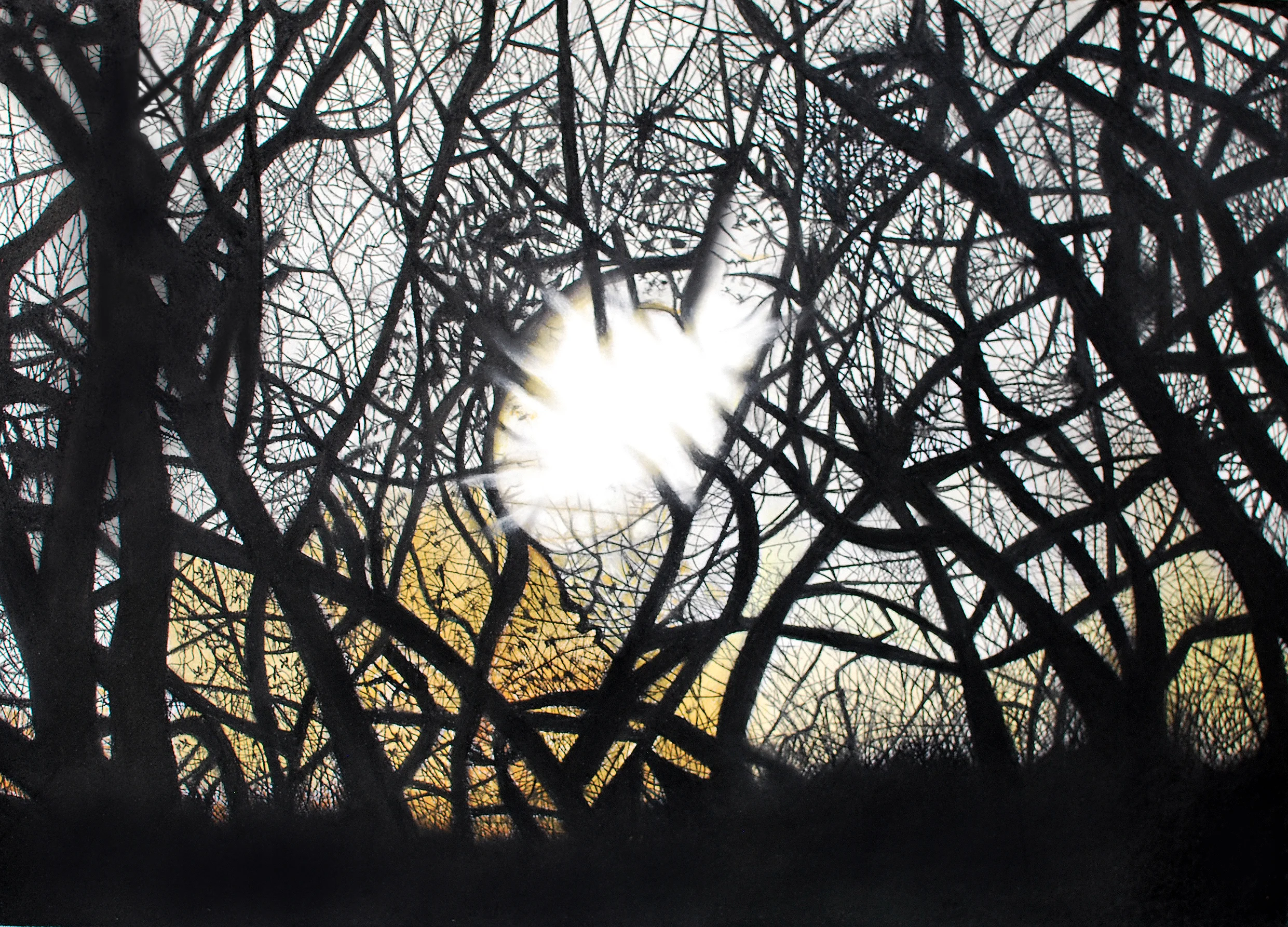 Pastel On Paper 30" x 24"