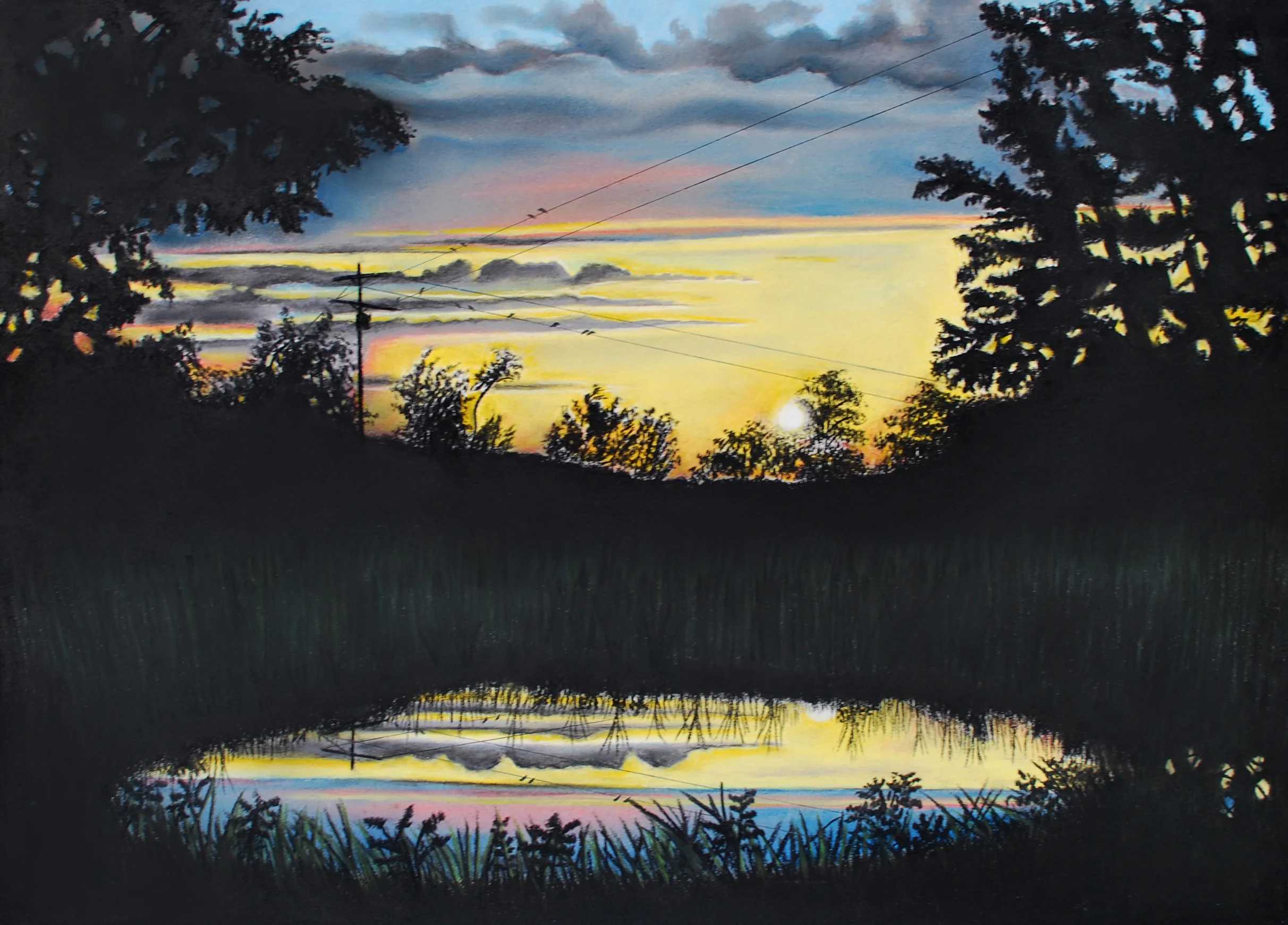 Pastel On Paper 30" x 24"