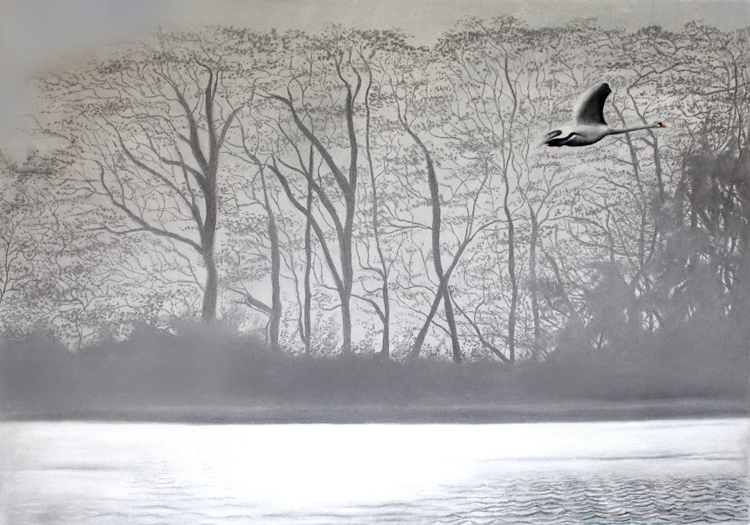 Pastel On Paper 30" x 24"