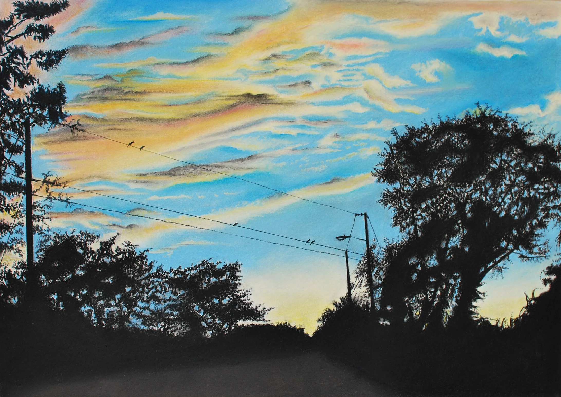 Pastel On Paper 30" x 24"