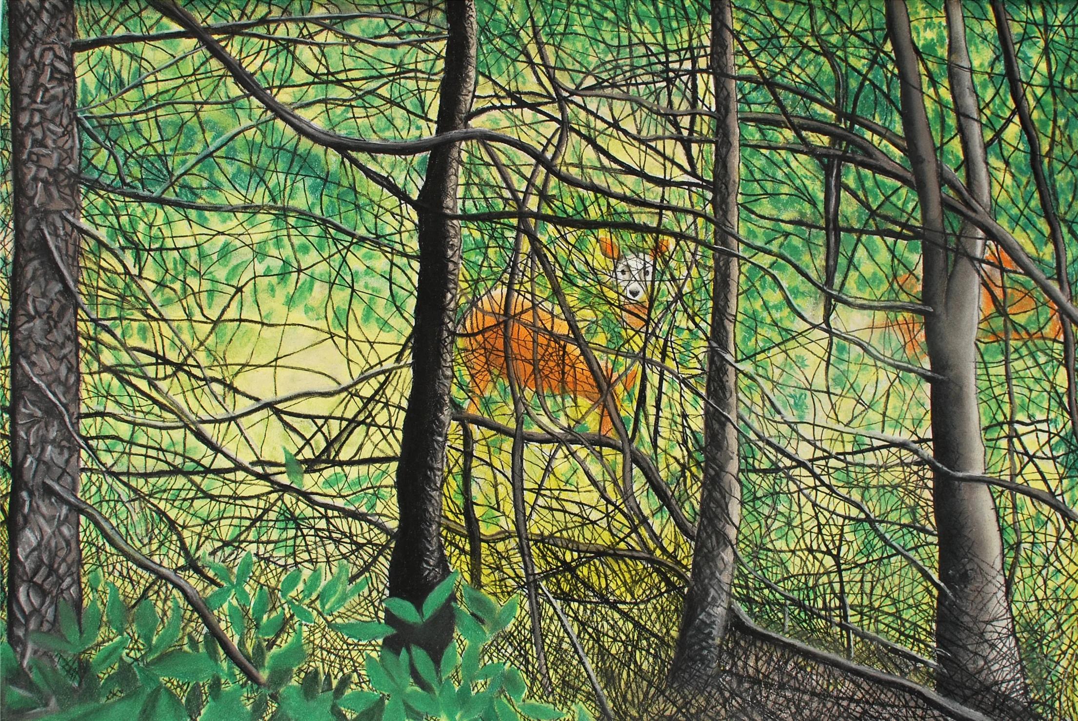 Pastel On Paper 30" x 24"