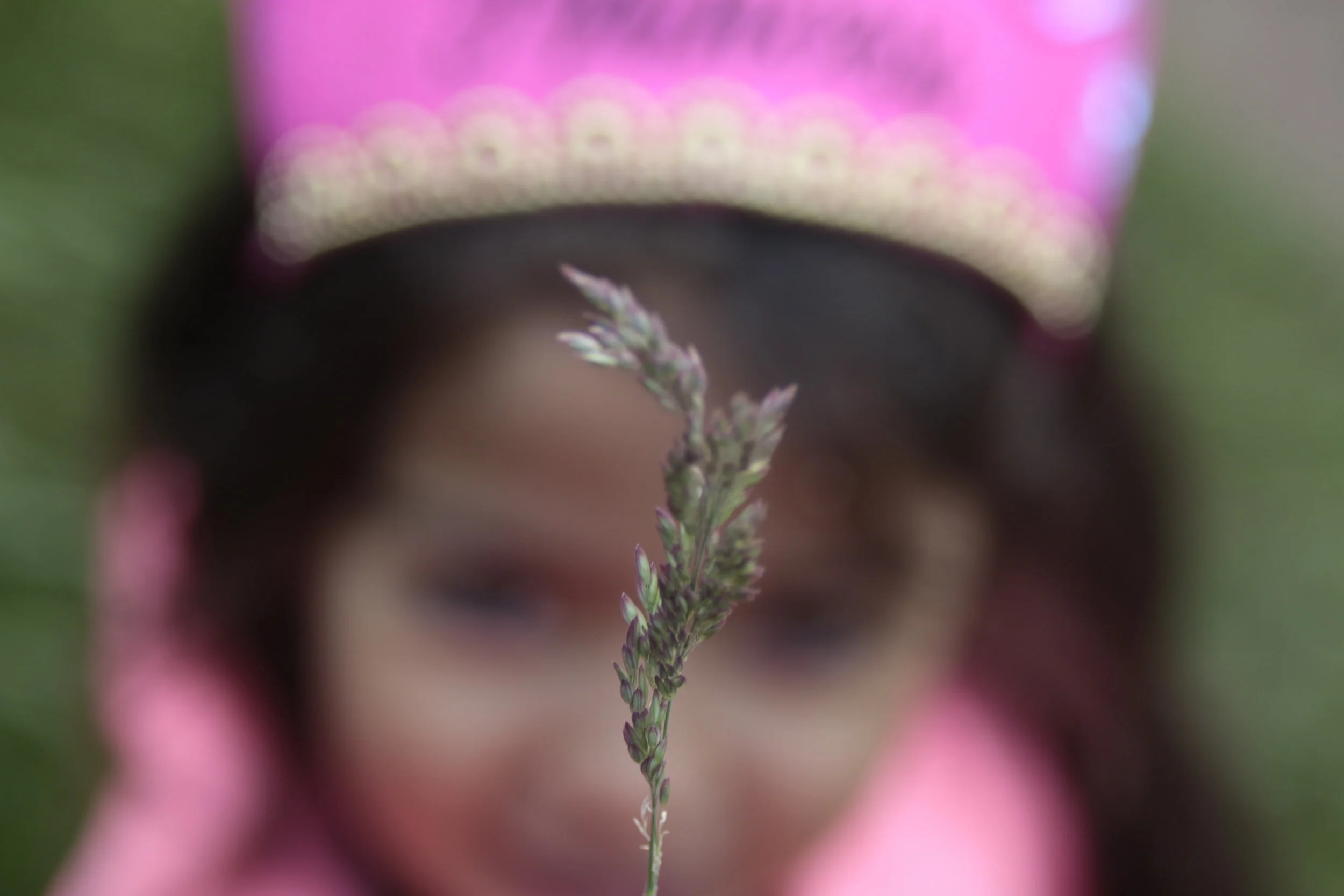 _MG_2222.JPG