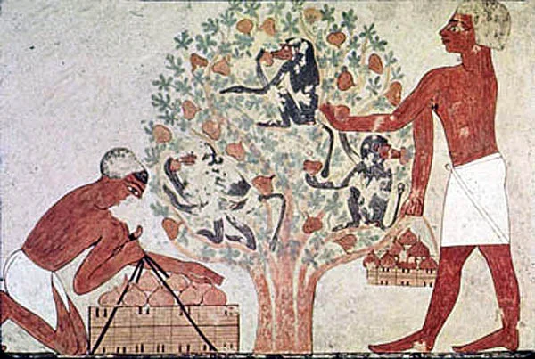 Stylized fresco from Ancient Egypt showing fig cultivation. What about the baboons? Were they helping or is something allegorical being depicted here?