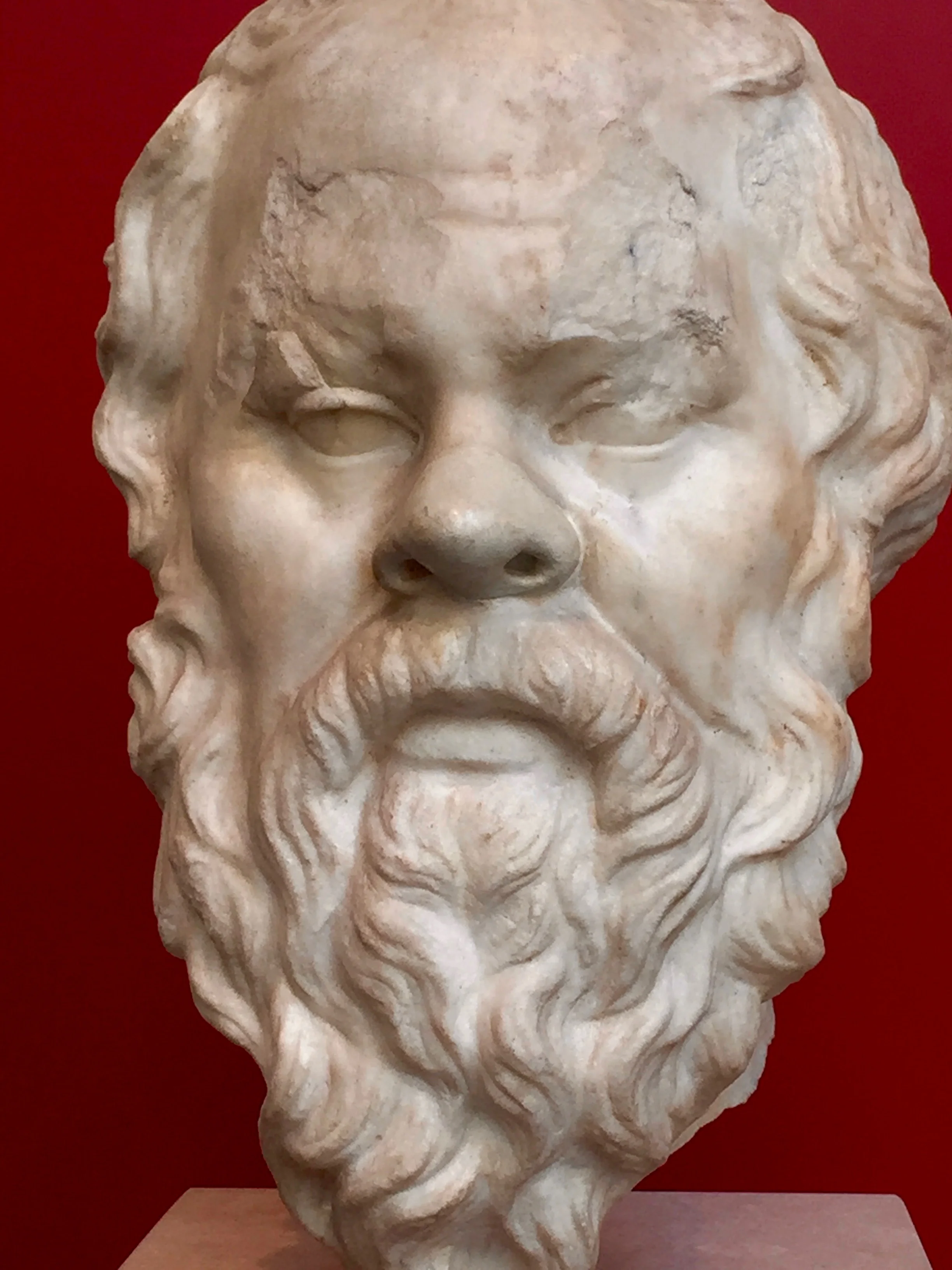 Socrates nearly always features in syllogism examples, and for good reason. He was willing to die by hemlock poisoning rather than be banished from his beloved Athens for the crime of fostering subversive critical thinking in the public arena. He claimed no original knowledge and left no writings of his own. His wisdom lives on because his life and work were championed in the works of Plato. Socrates declares (in Plato's Theaetetus: 150) that “god constrains me to serve as midwife, but has debarred me from giving birth.” Socrates' maieutic method ( mid-wife-as-opposed-to-didact ) is, of course, the watchword for effective, constructivist TOK teaching!