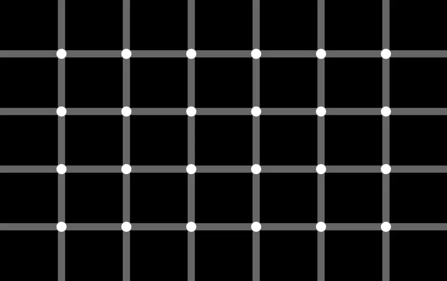 Schrauf, M., Lingelbach, B., Wist, E.R. (1997) The scintillating grid illusion. Vision Research , 37, 1033-1038.