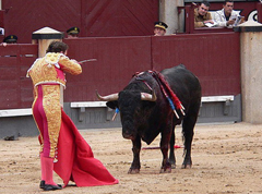 bullfight500s.jpg