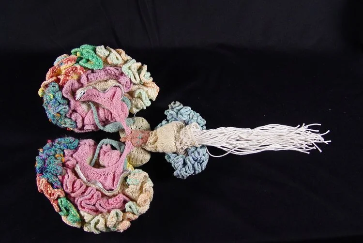 Norberg_knitted.jpg