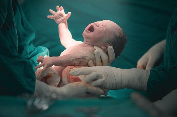Newborn human baby