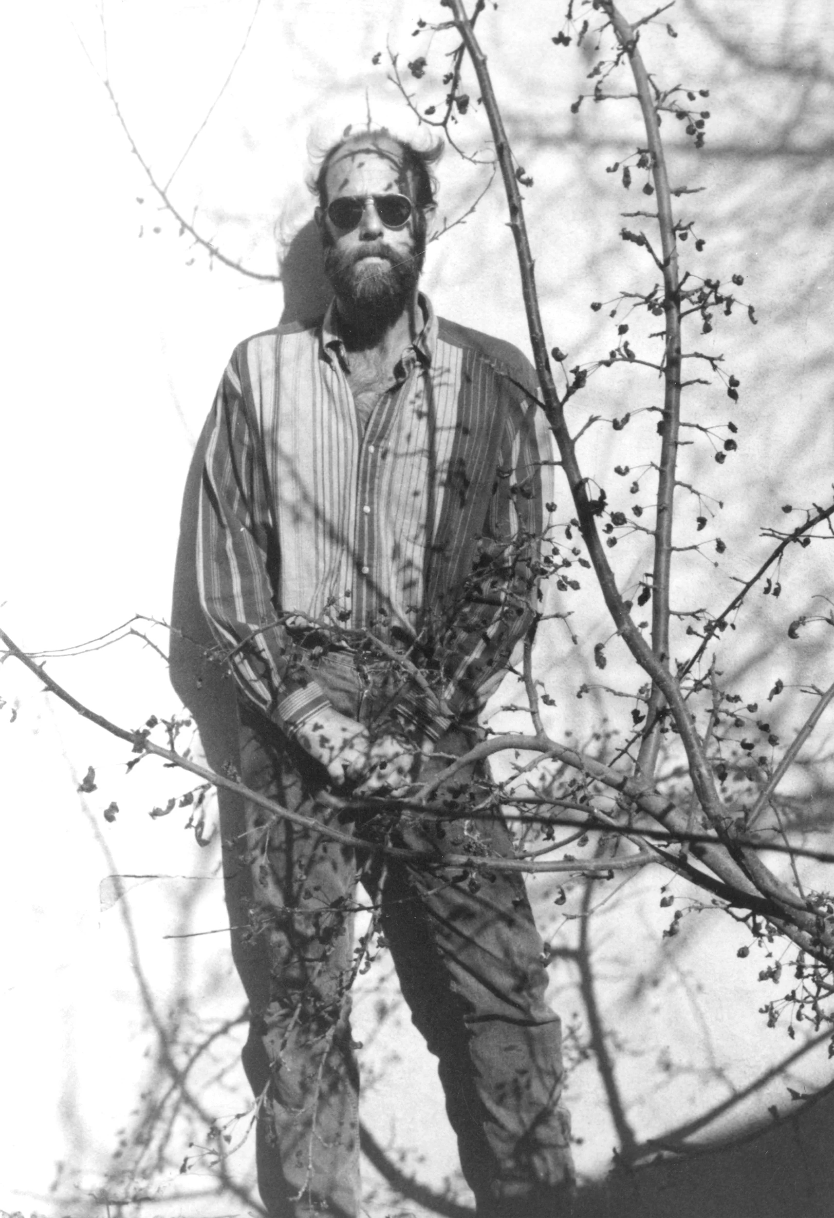 RICK DILLINHAM, CERAMICIST, 1994