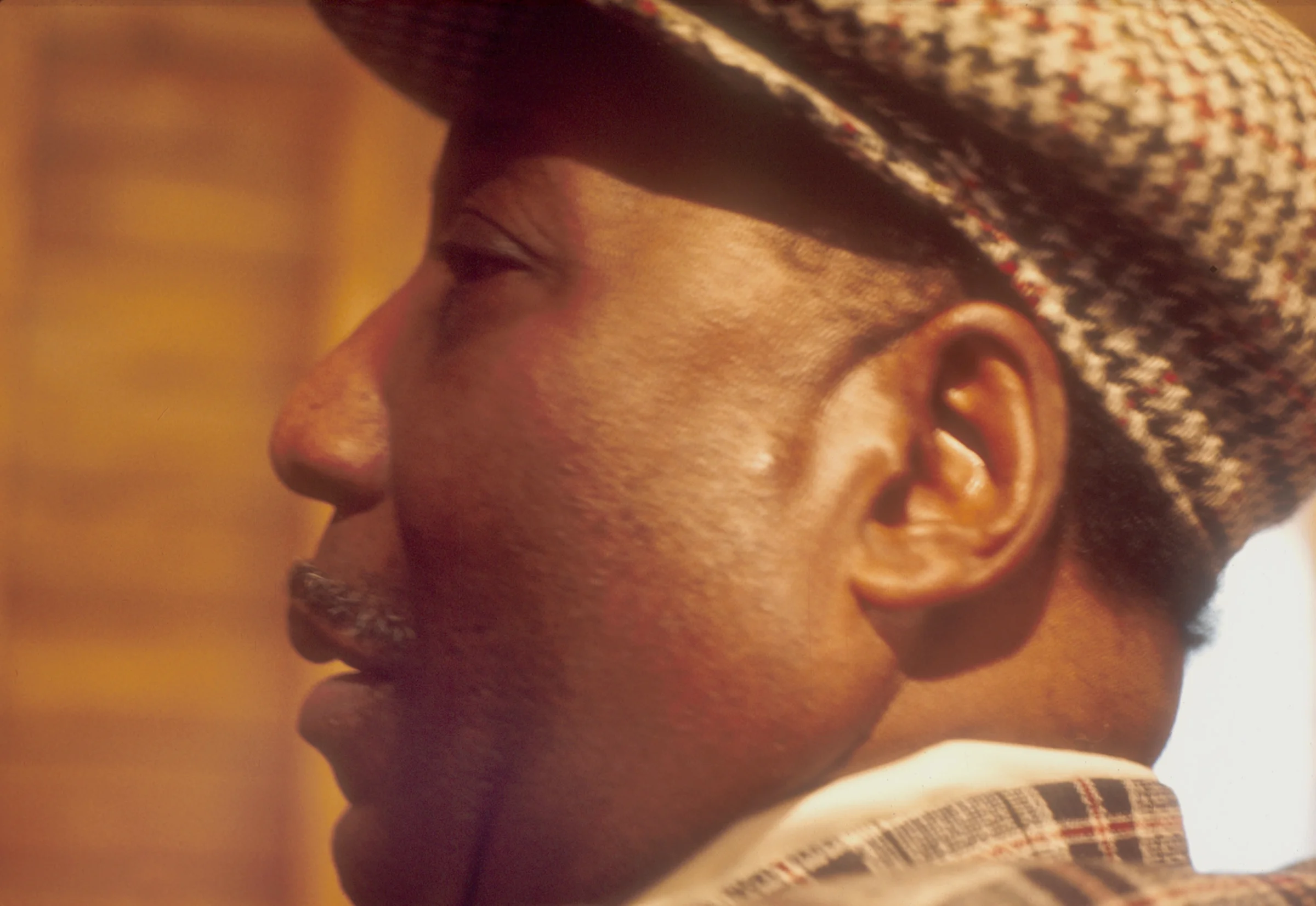 MUDDY WATERS, WOODSTOCK, 1975