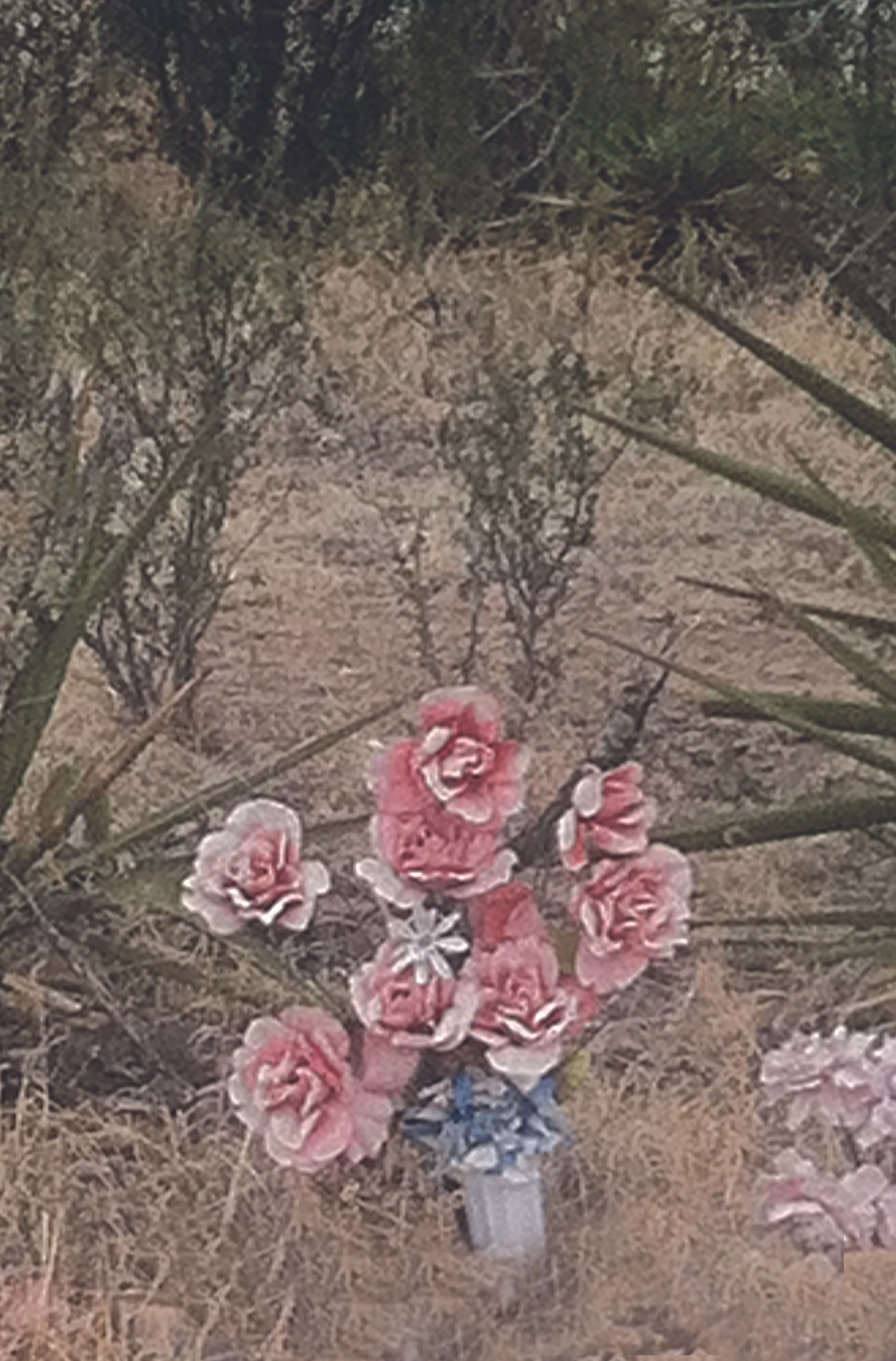 DEAD FLOWERS