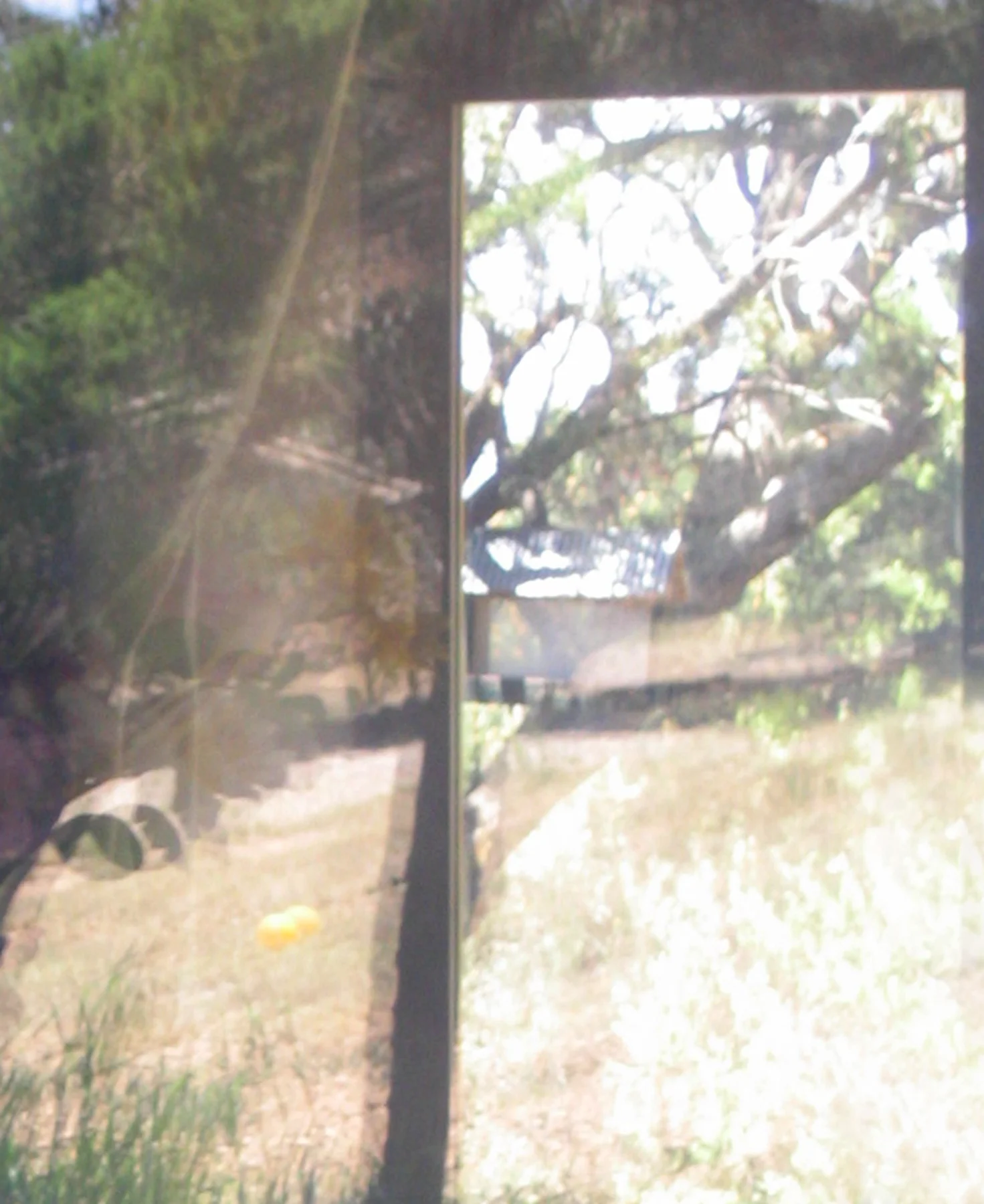REFLECTION