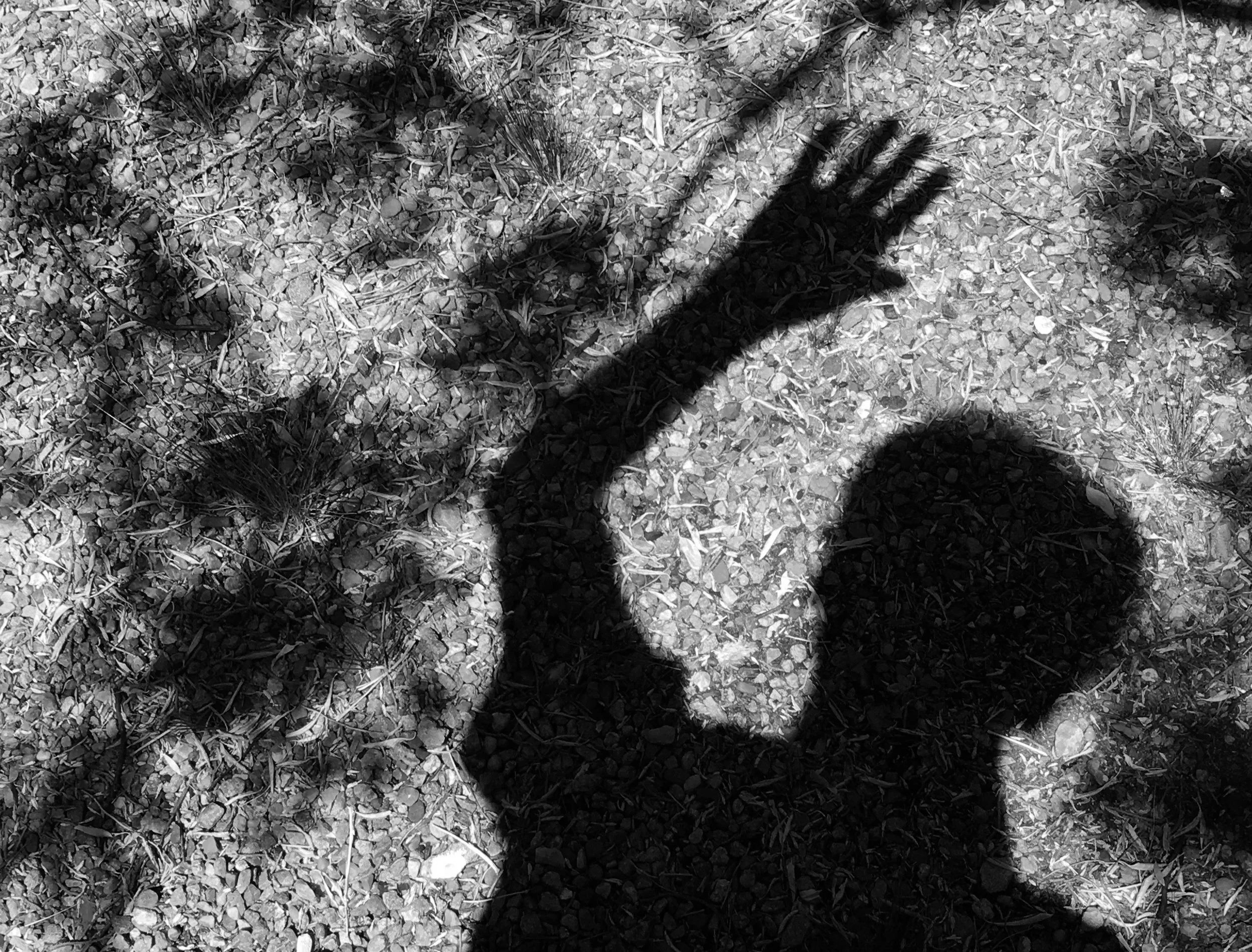 SHADOW 3