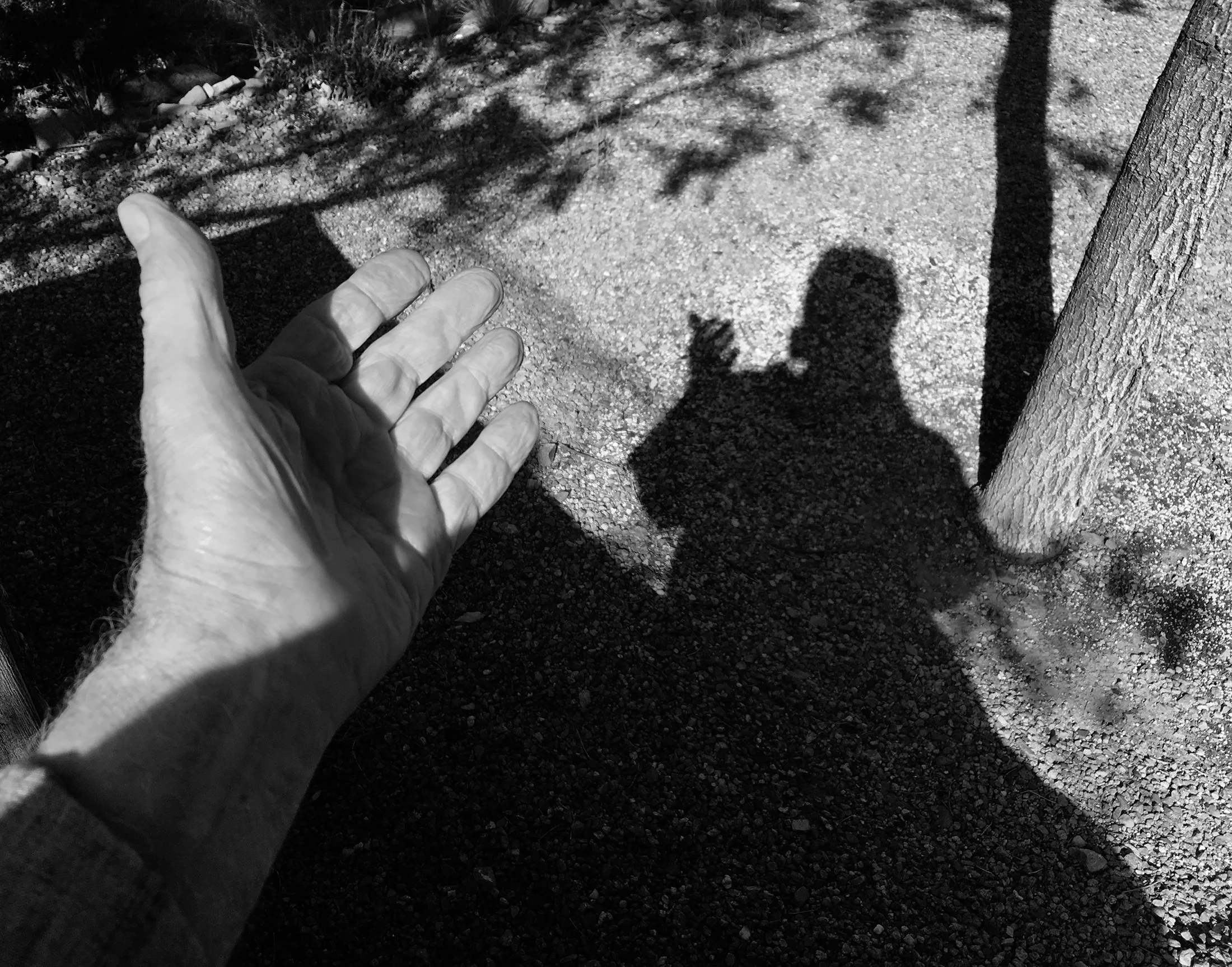 SHADOW 5