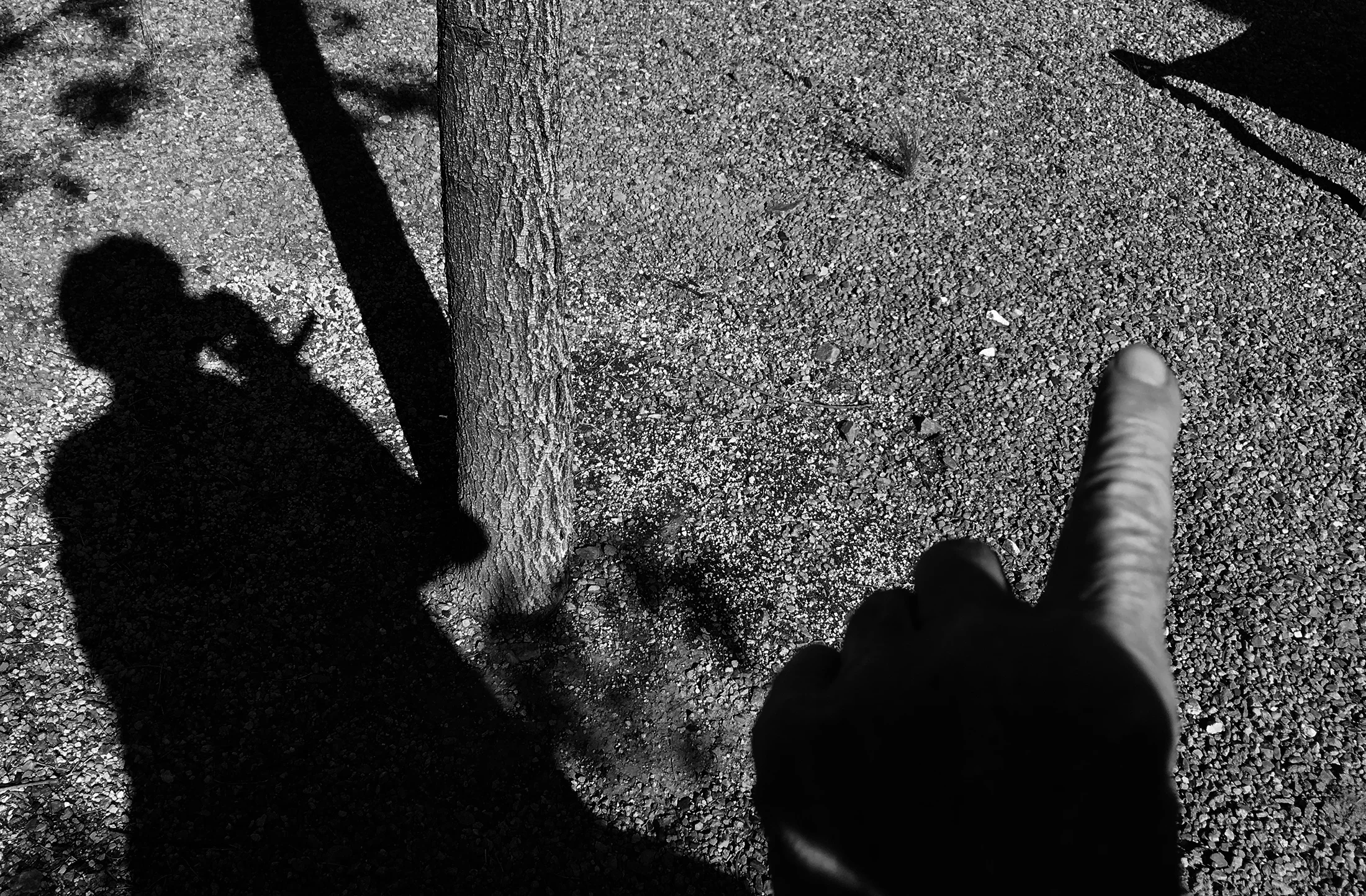 SHADOW 6