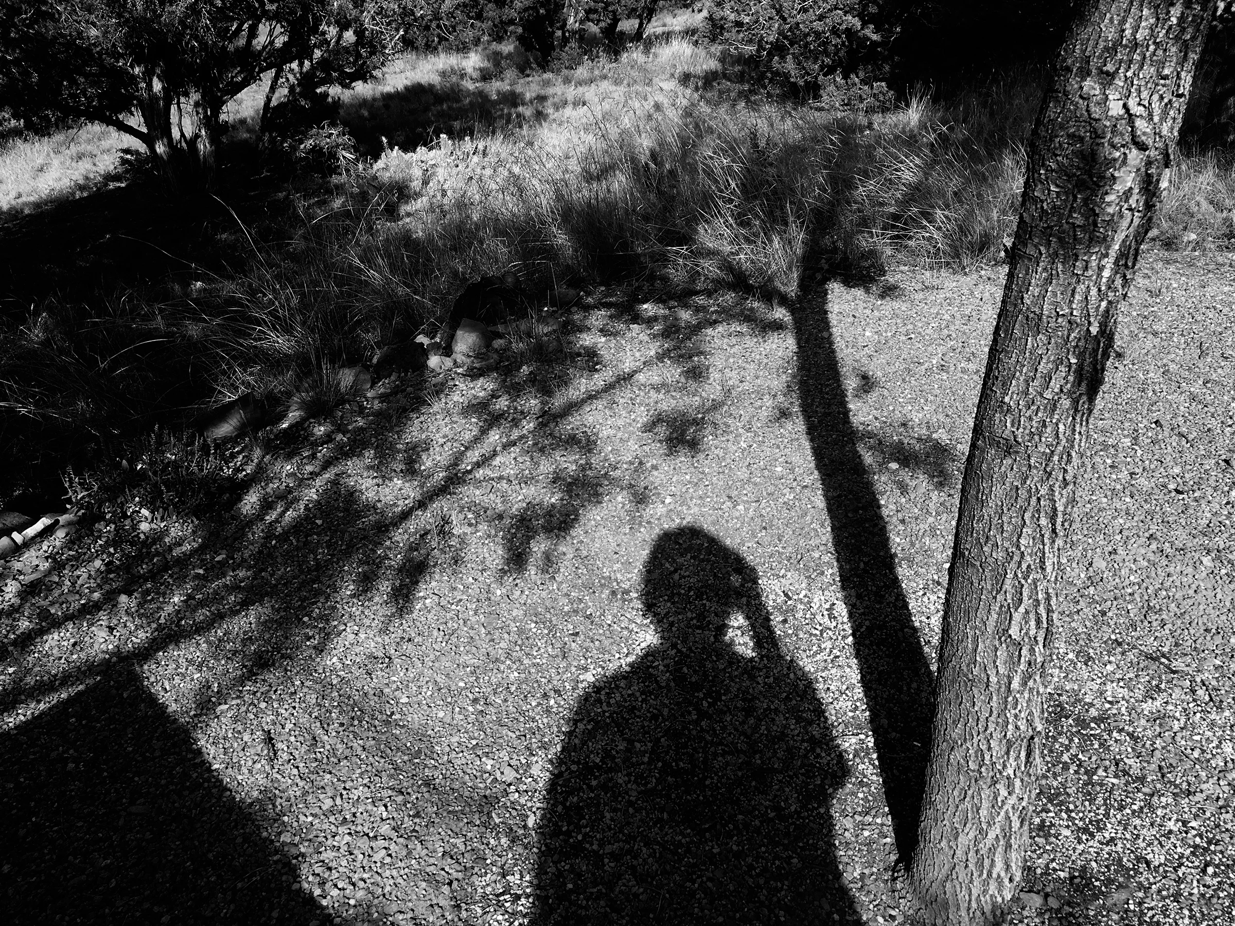 SHADOW 4