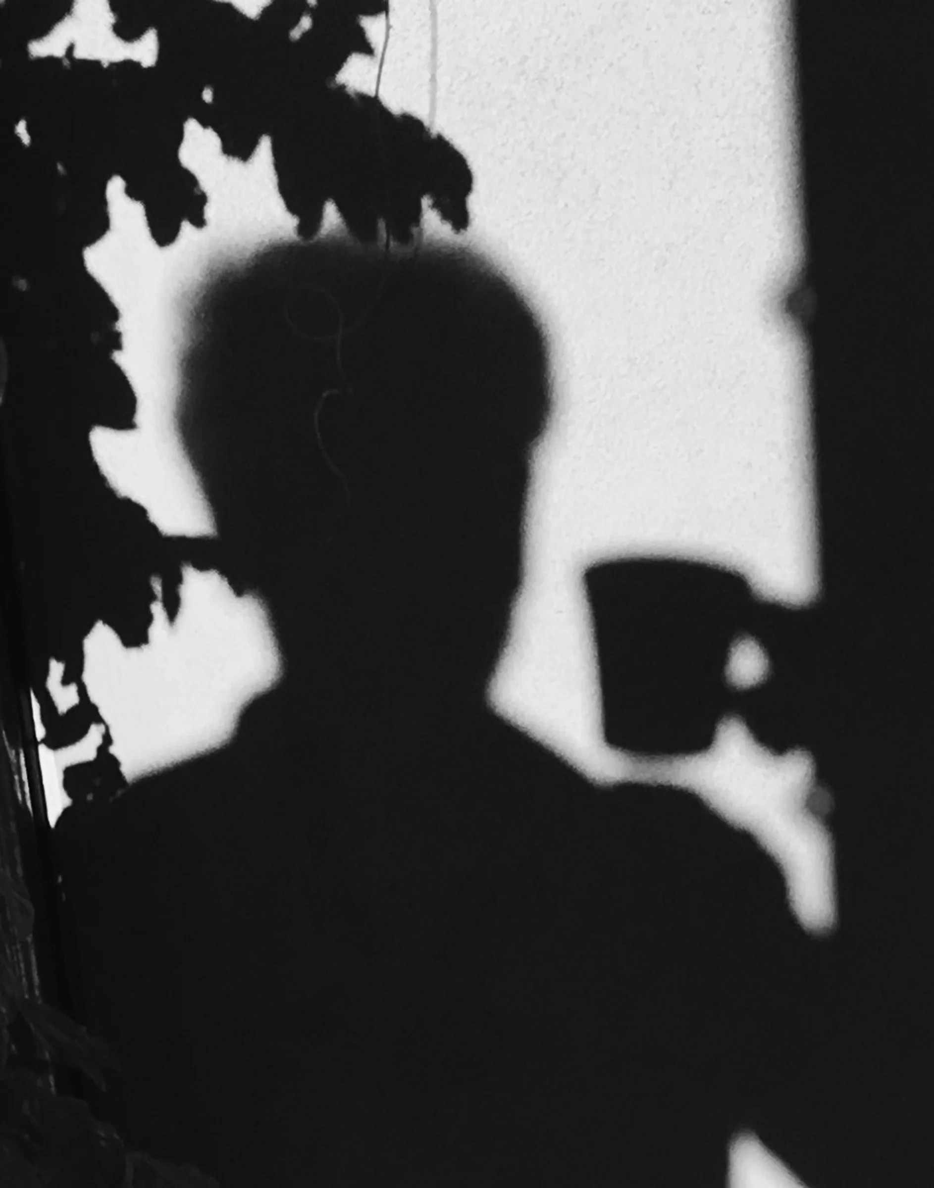SHADOW 21