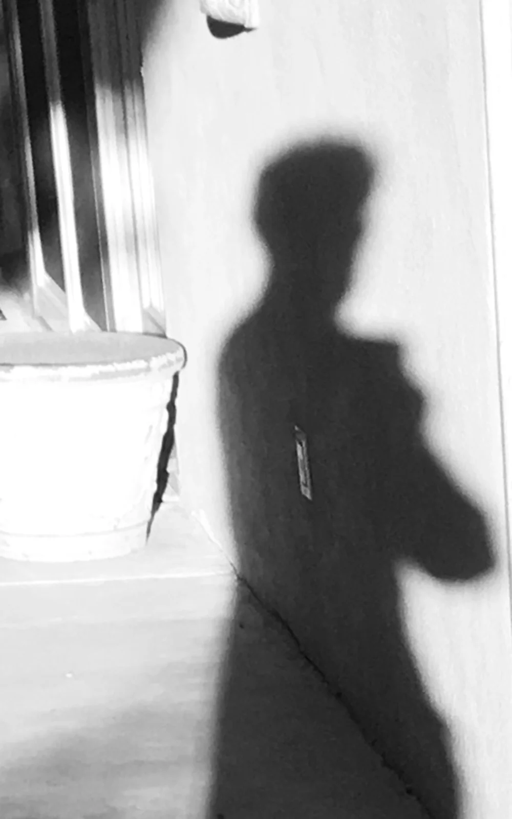 SHADOW 20