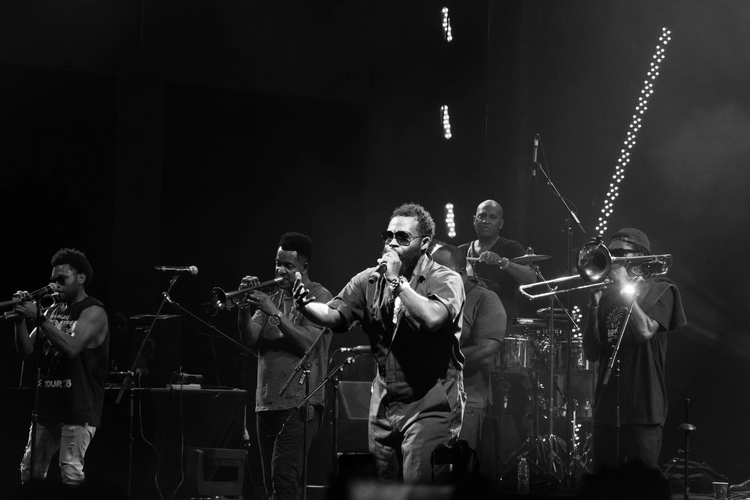 2017 BRIC Celebrate Brooklyn