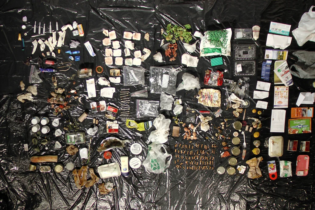 Garbage Excavation (video still)