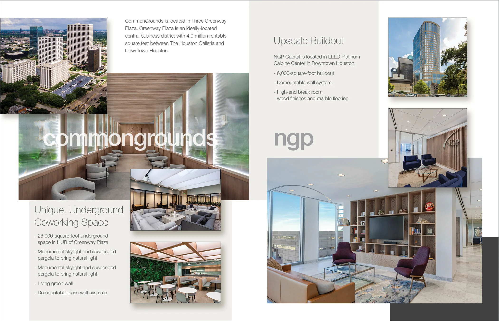 CI Gatefold Inside Border3.jpg
