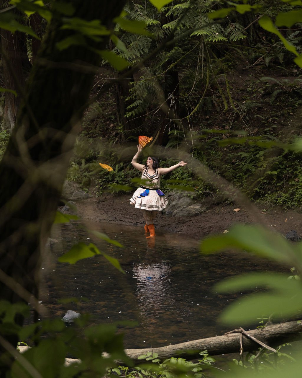 The Wild Duck (Abigail Krawson)