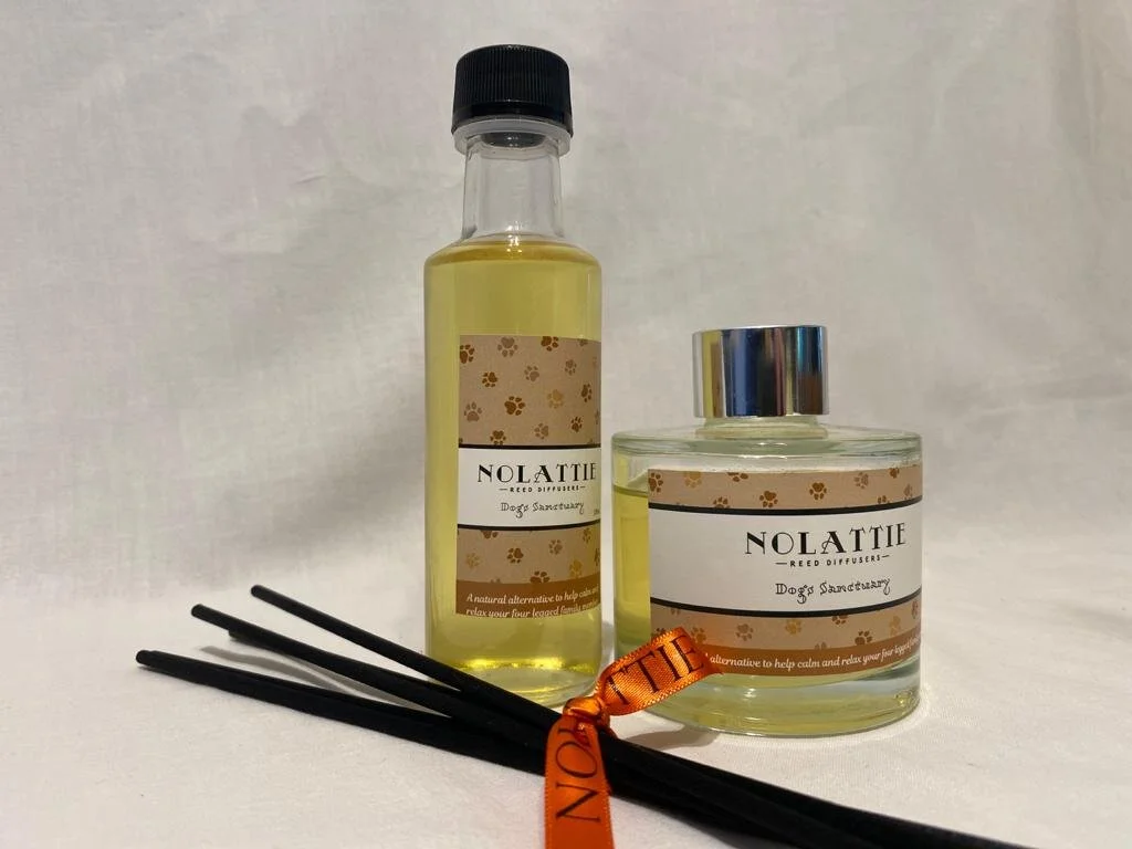 Dog Sanctuary Reed Diffuser — Nolattie Candles
