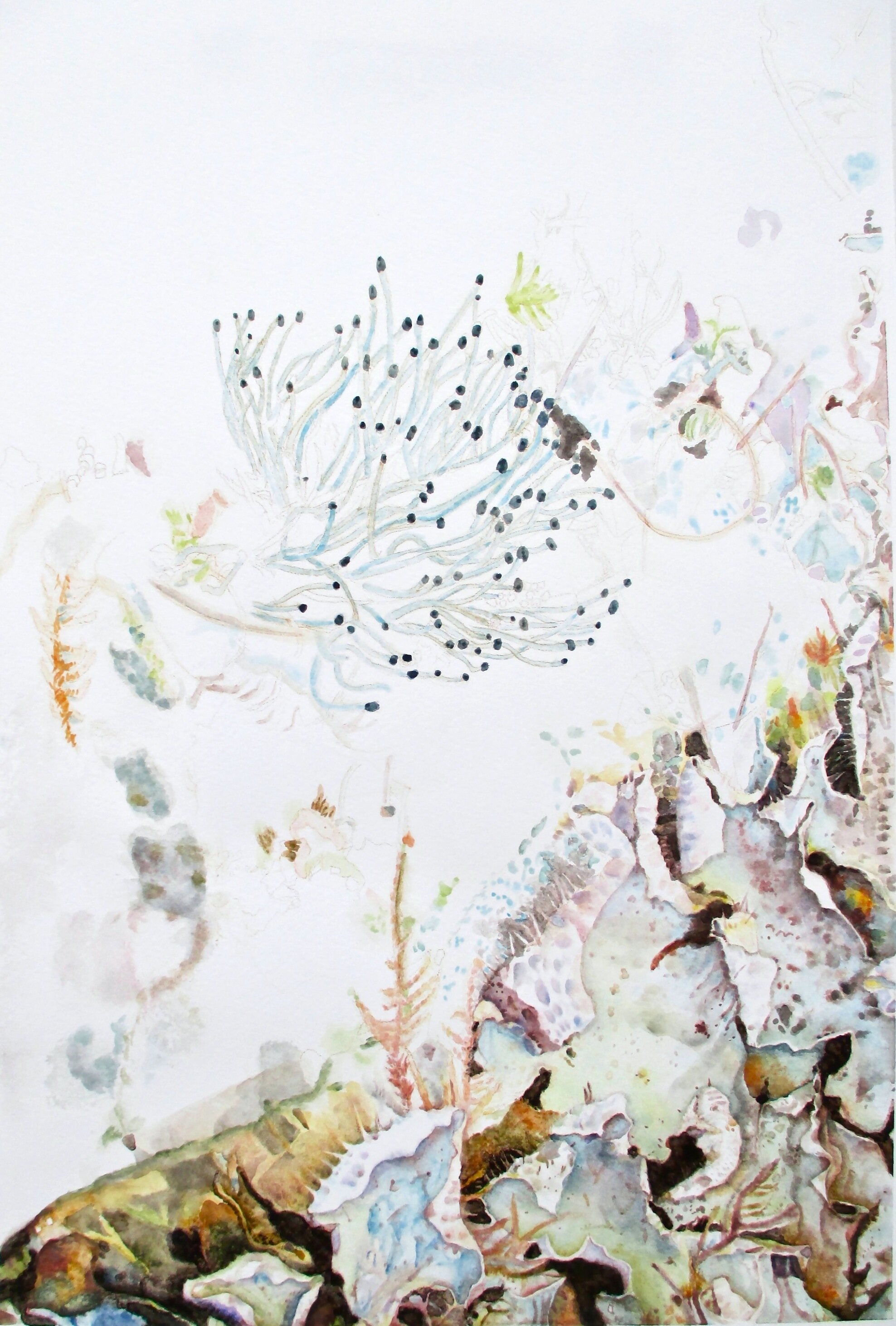 Groundscape IV | Natural watercolor pigments on paper | 22" x 15” | floating frame 26” x 19” | 2015