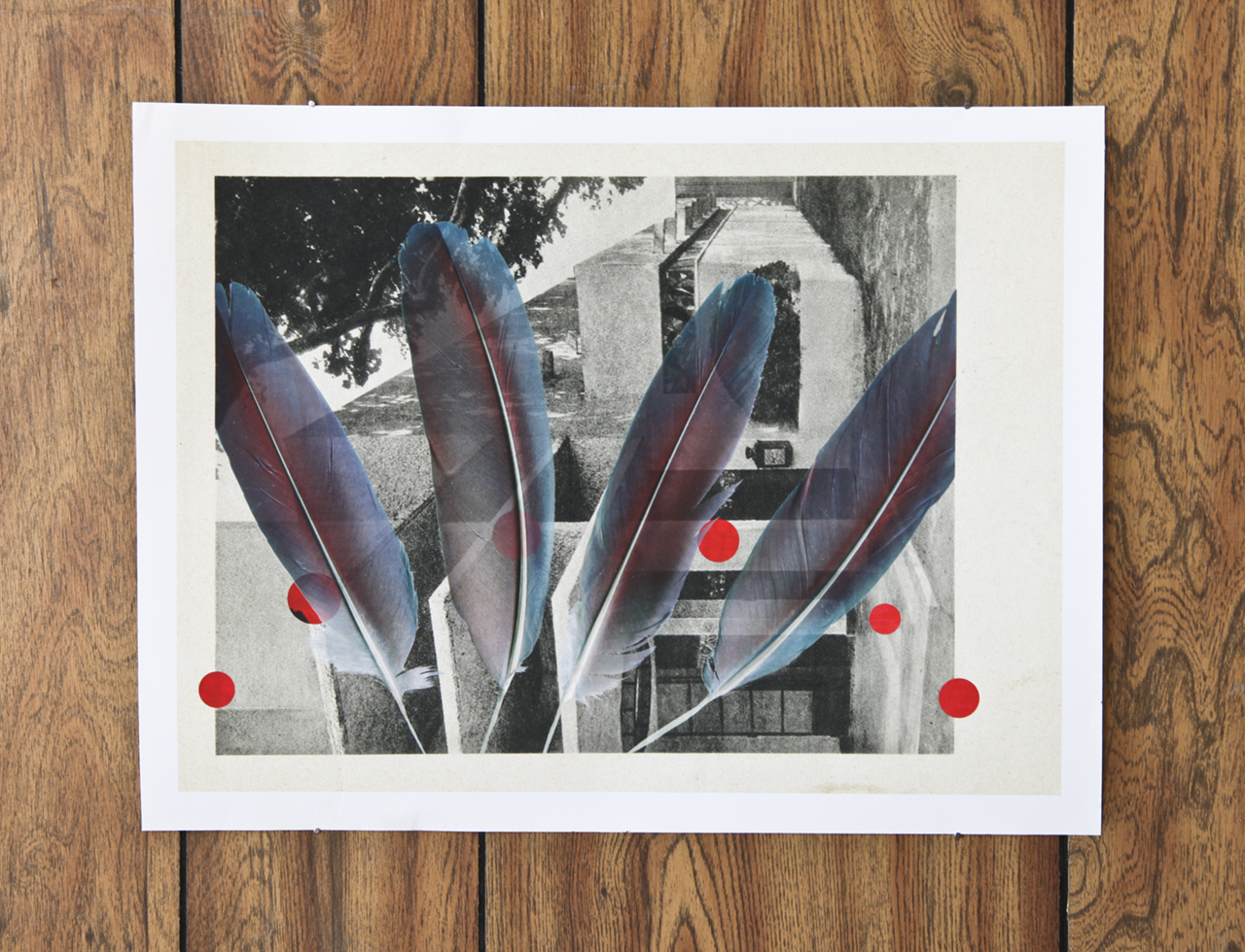 Sari Carel “Flight Song”, Archival Print, 12x16 inches, 2015.  