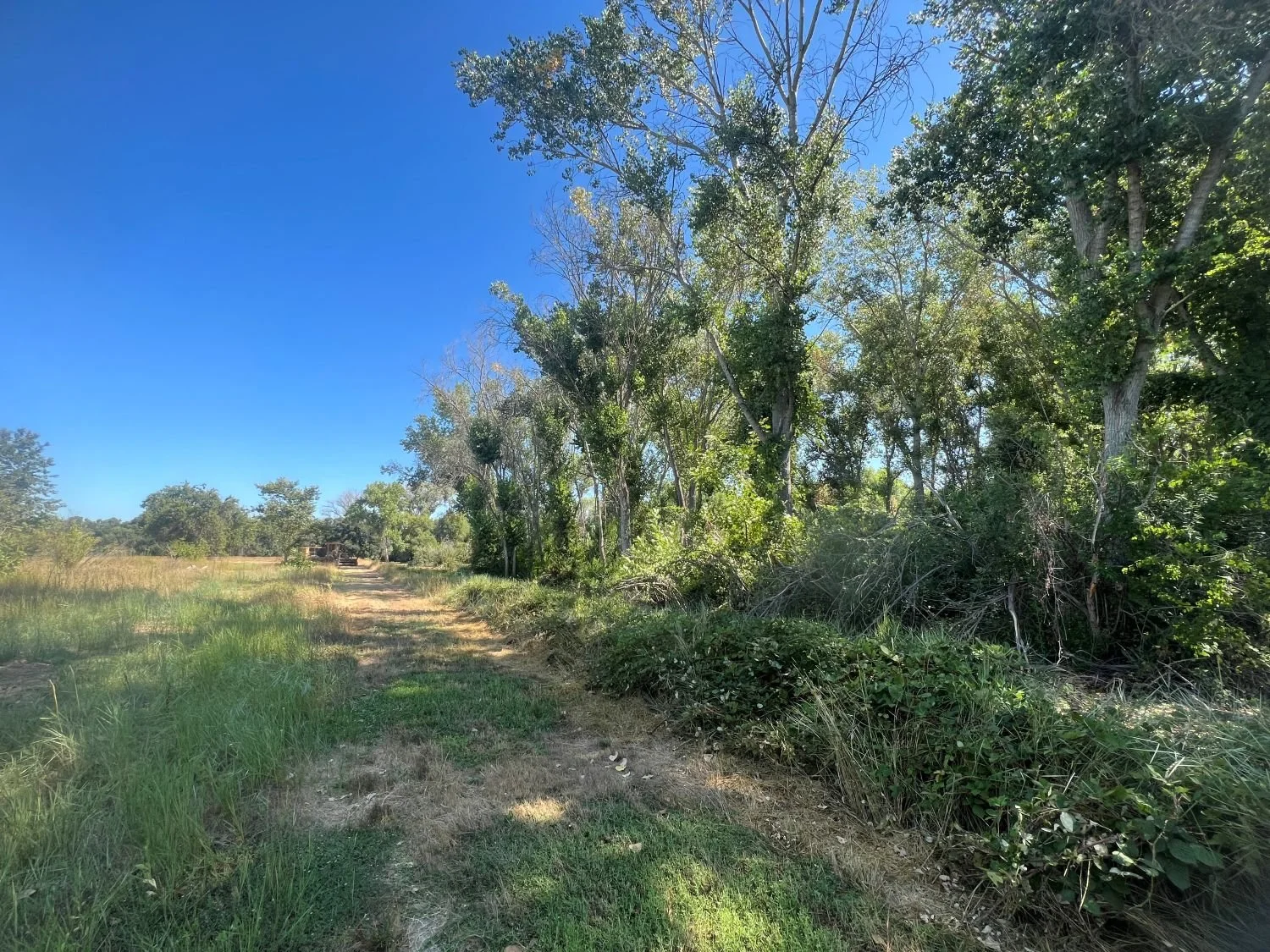 Sacramento River Corridor - Before