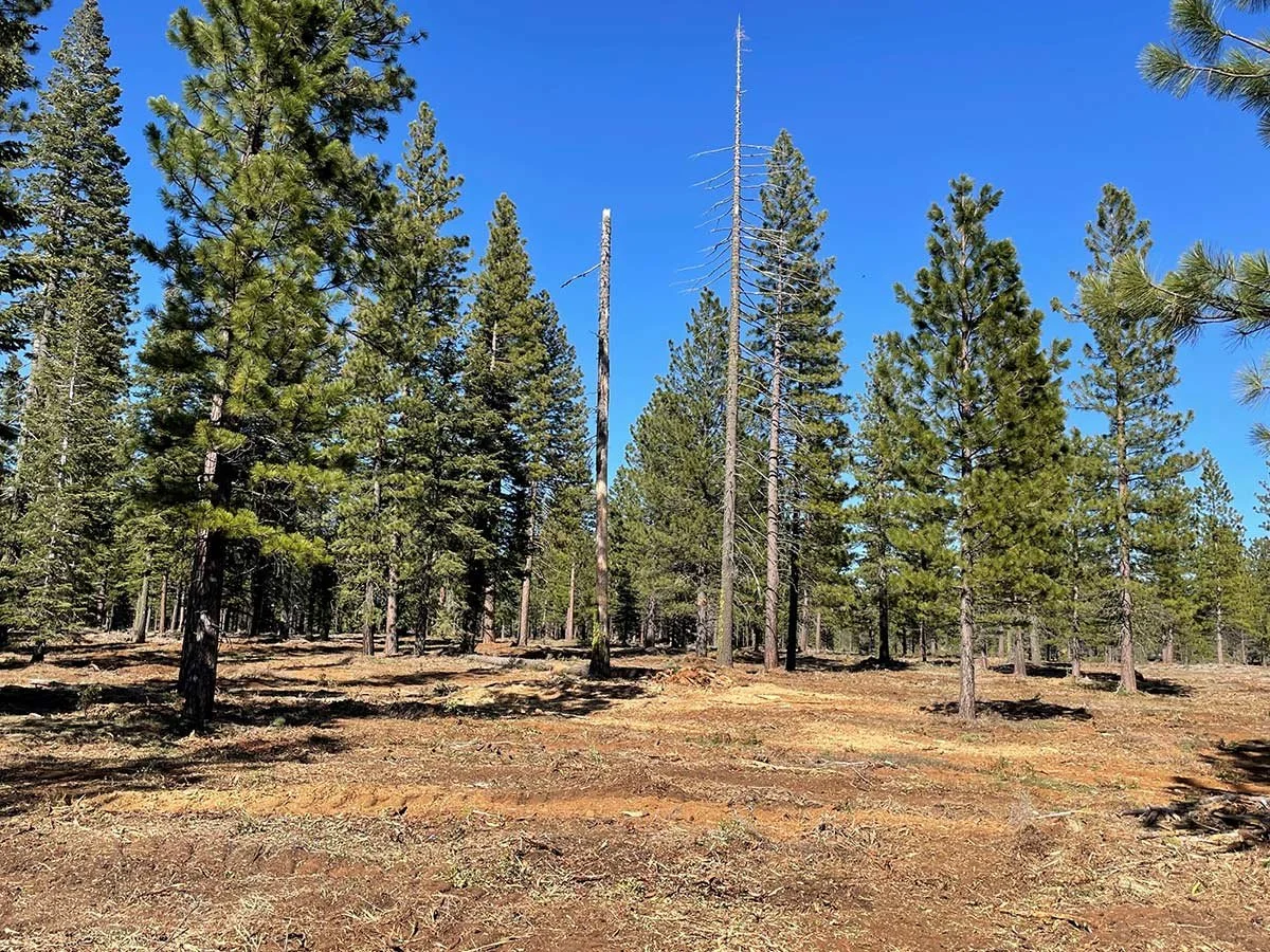 Westwood Wildland-Urban Interface – After