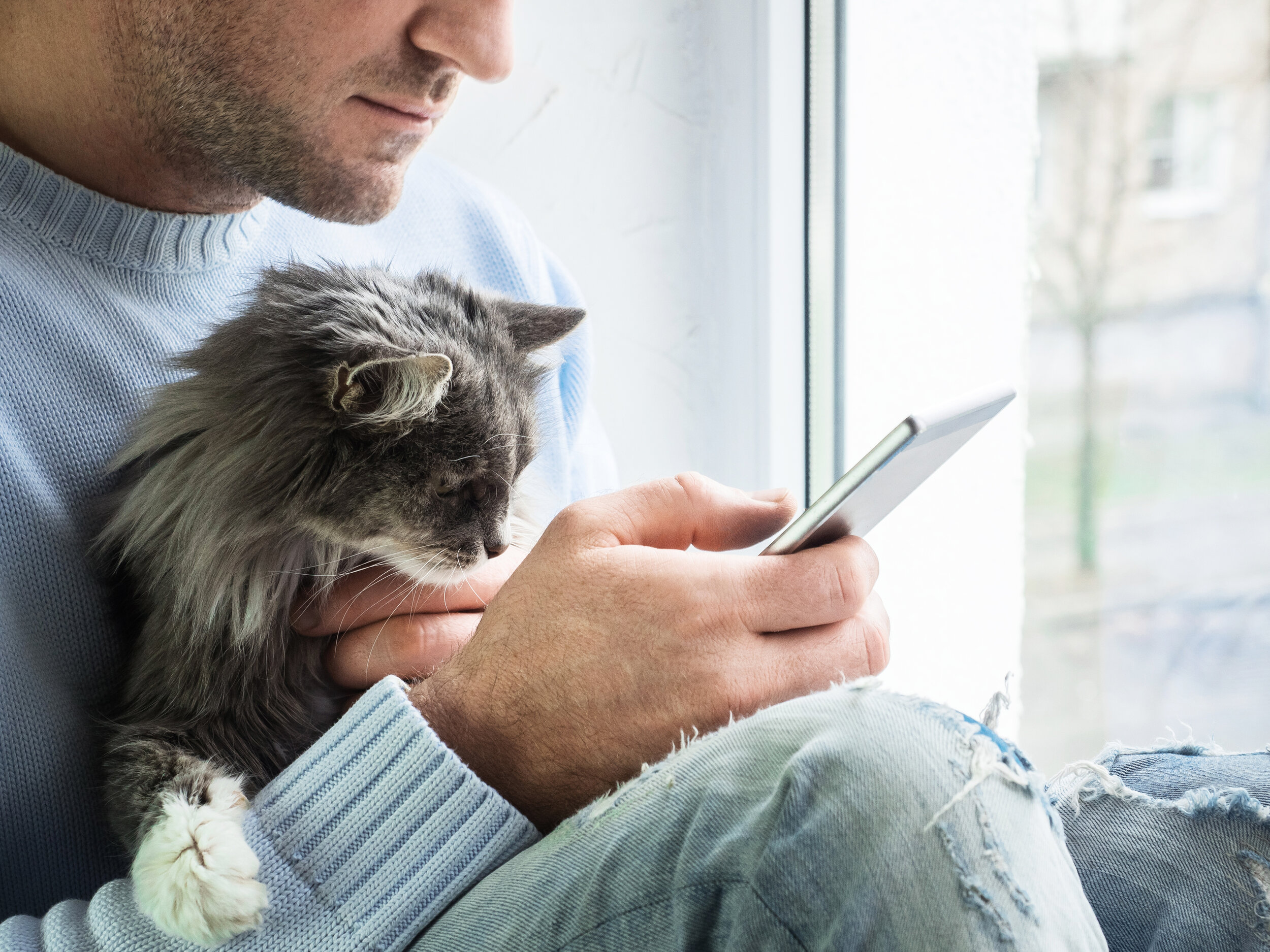 man_with_cat_cellphone.jpg