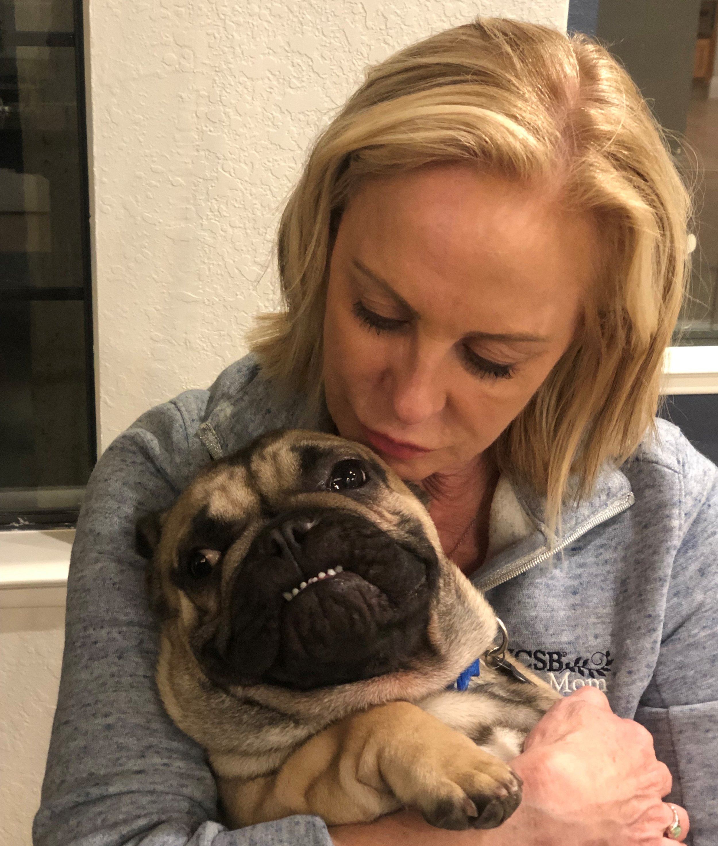 Rocco is our guest puppy ambassador when he is not attending UCSB