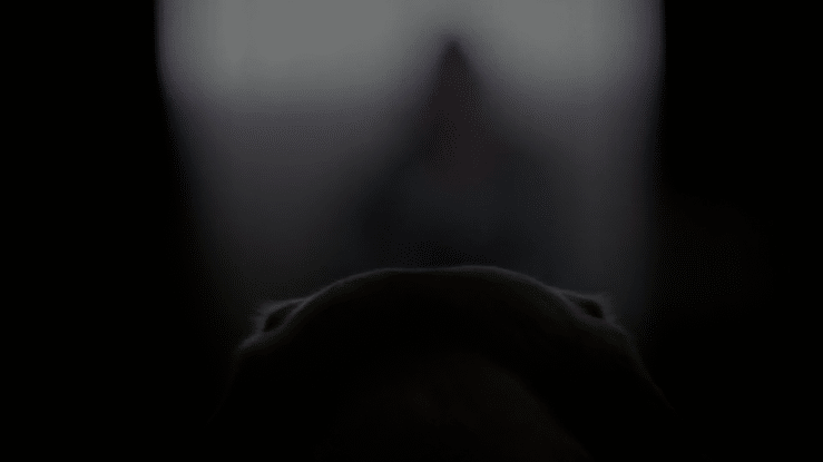 Pedigree - Dark to Light-high.gif