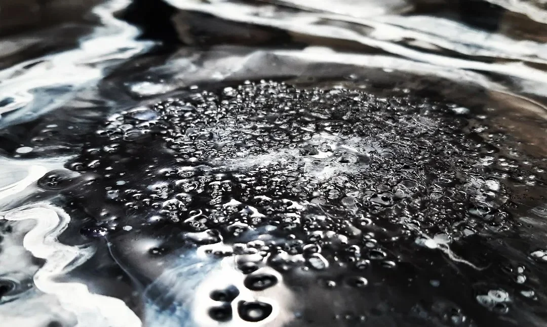 IntrovertExtrovert side view I.jpeg