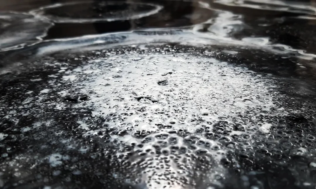 IntrovertExtrovert side view II.jpeg