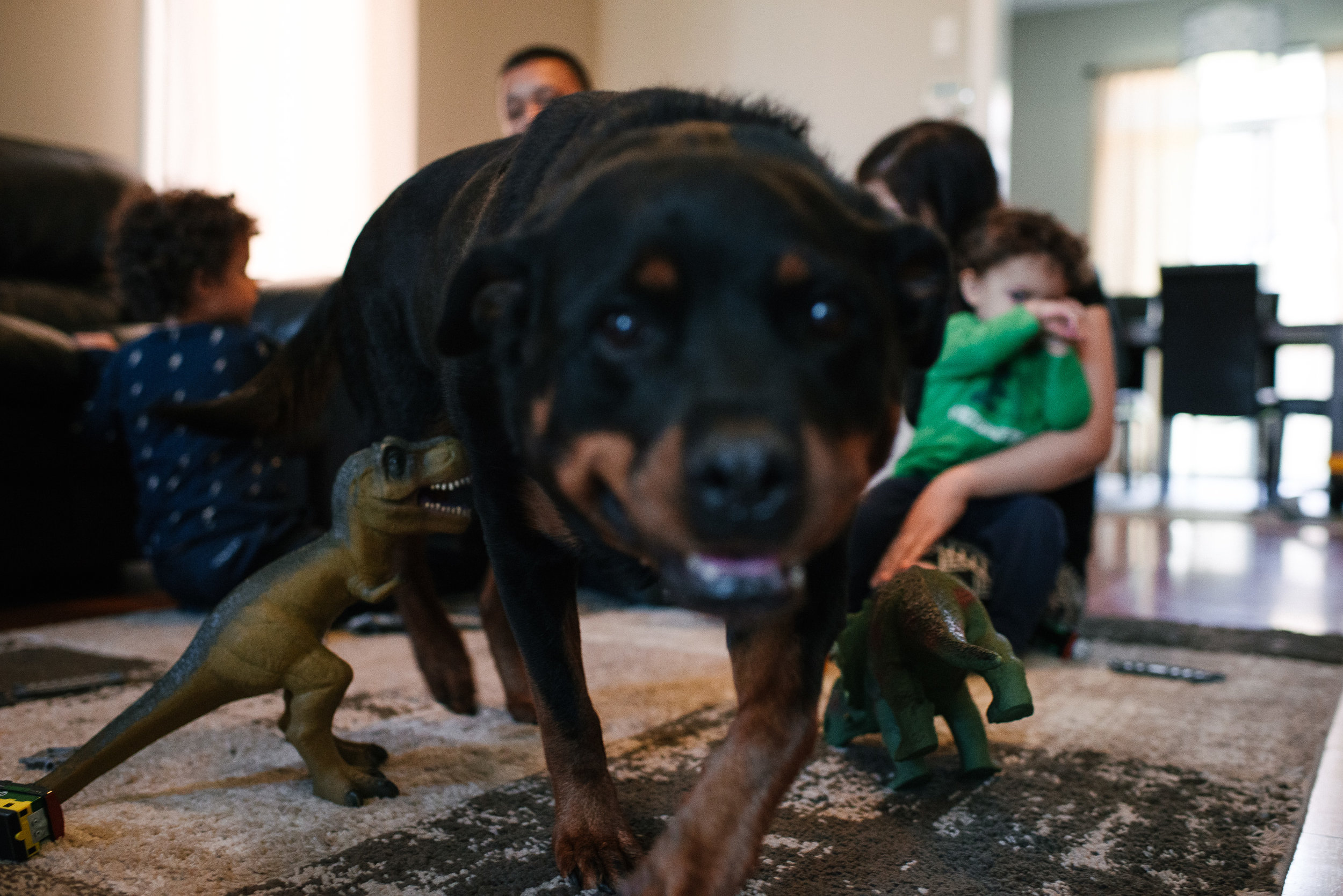 when dogs & dinosaurs photobomb the family portrait