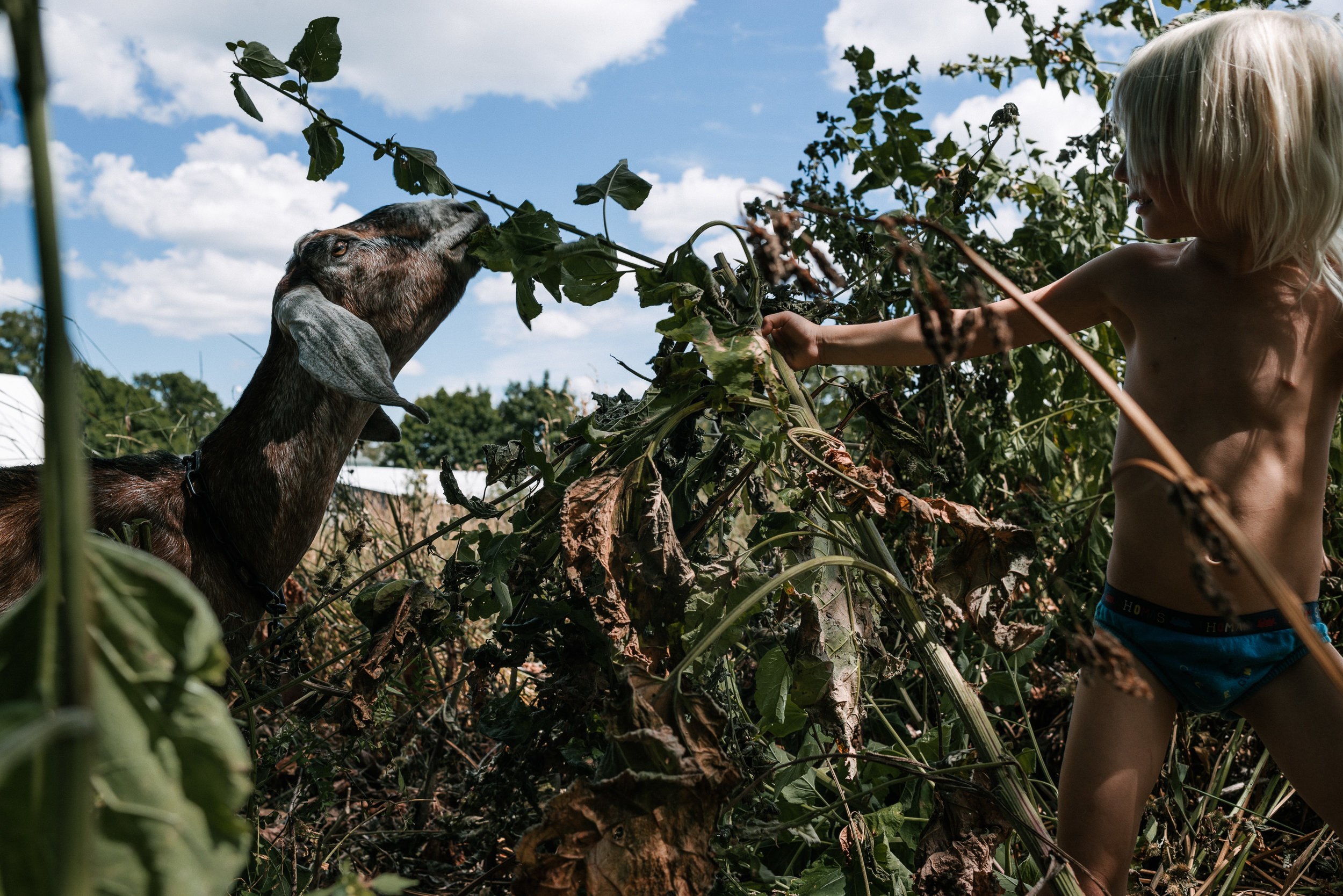 family documentary photography in kingston by viara mileva-145231vm.jpg