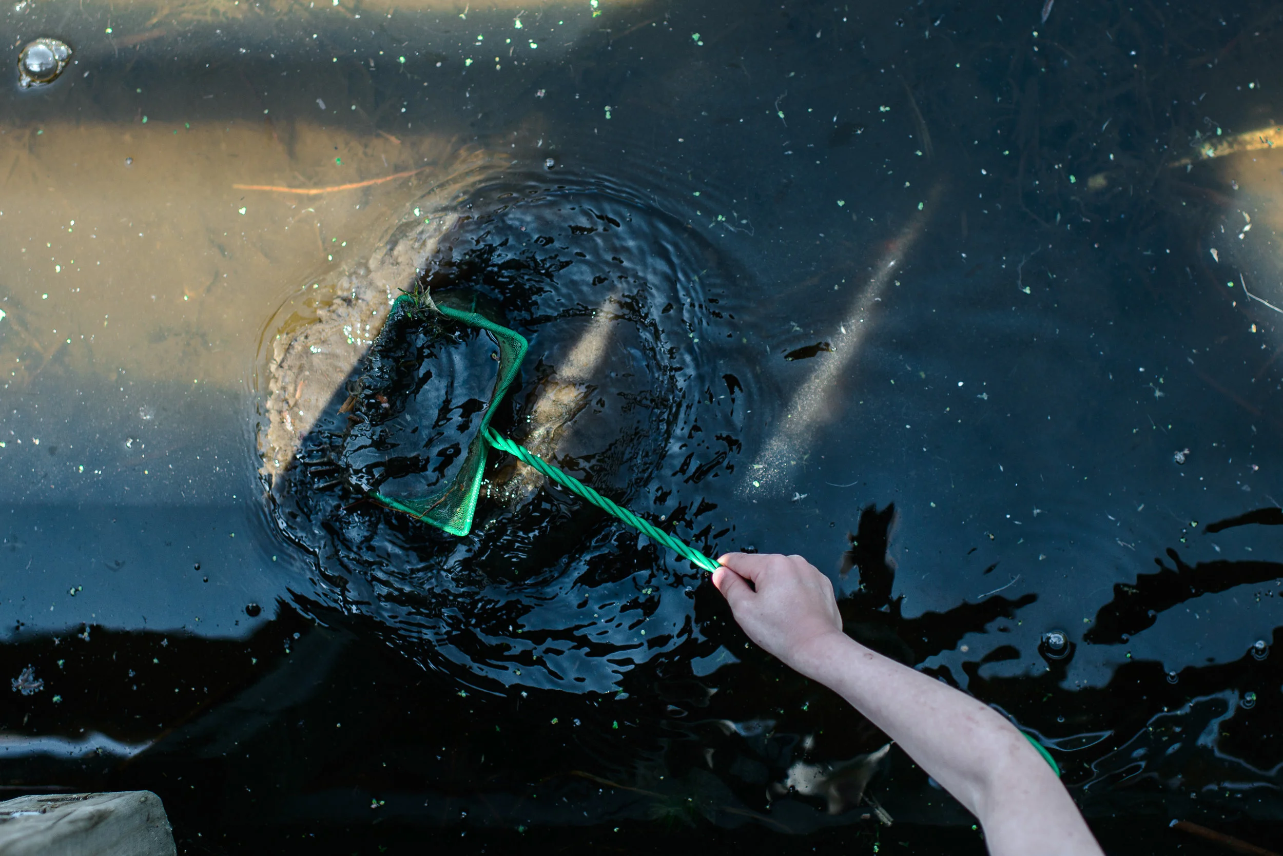 dig up something useful from your social media account