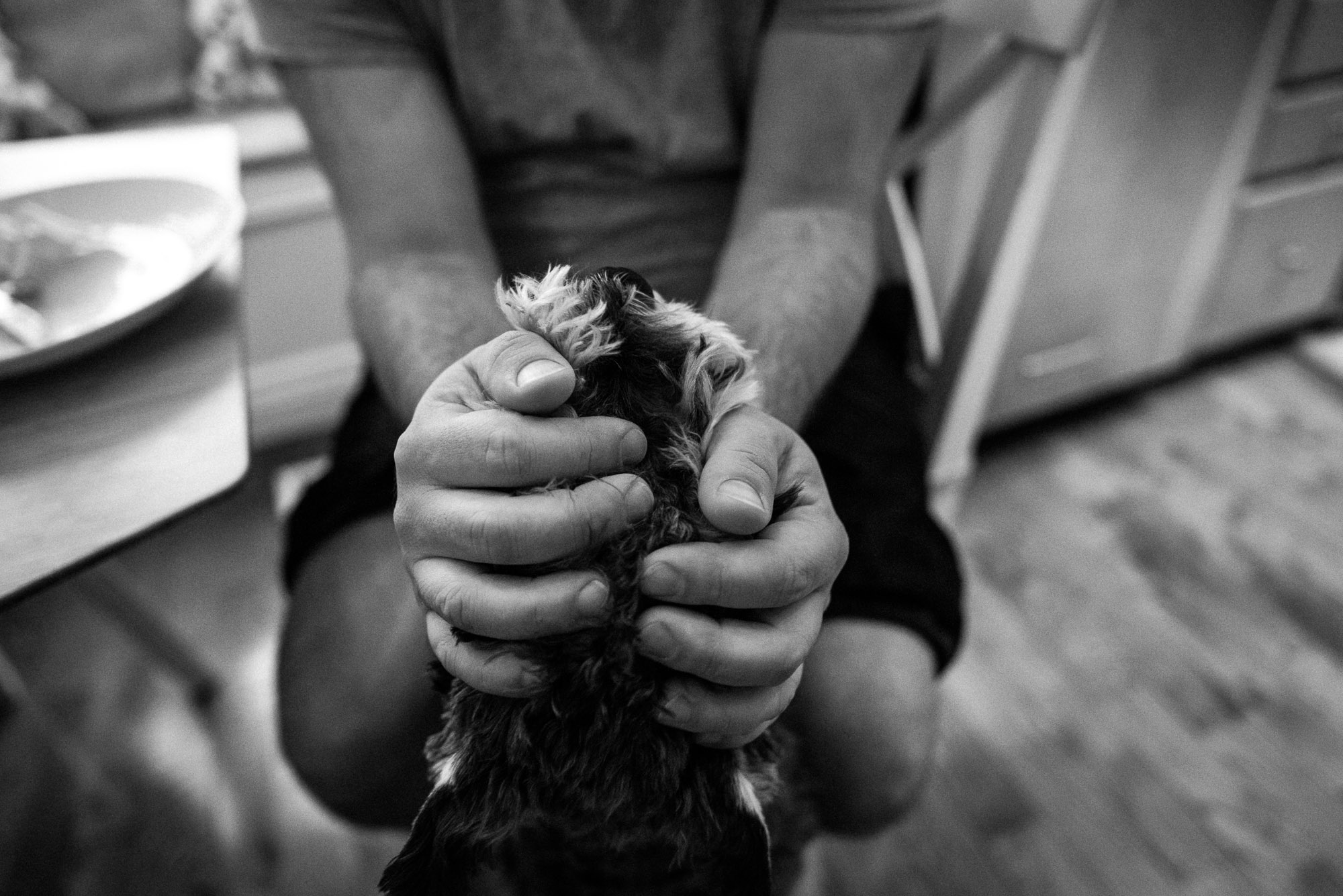 dad plays with dog