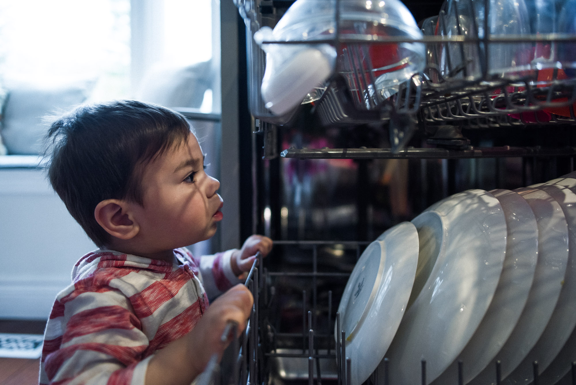 toddler peeks into dishwasher