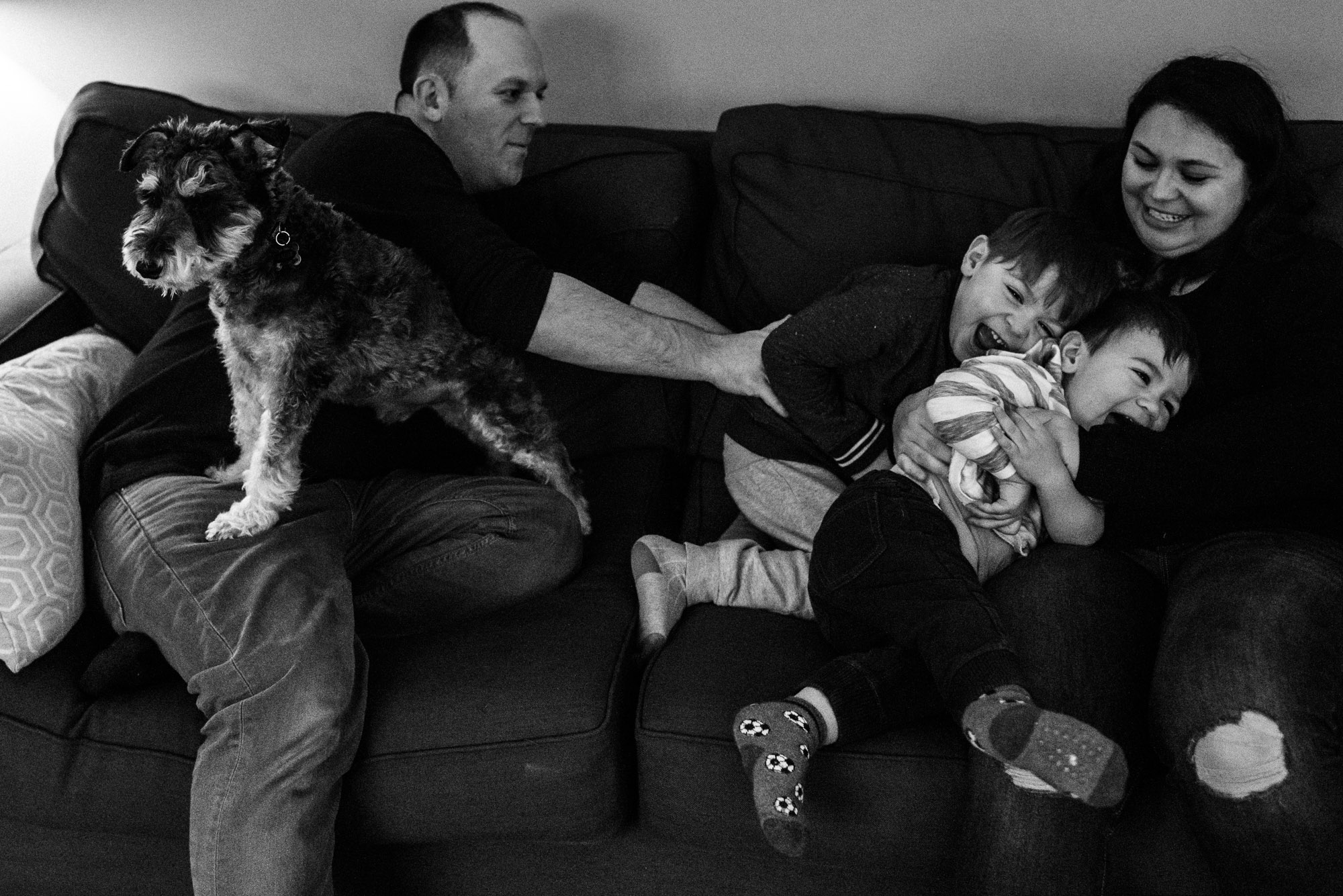 mom and dad play with their two sons on the couch with their terrier