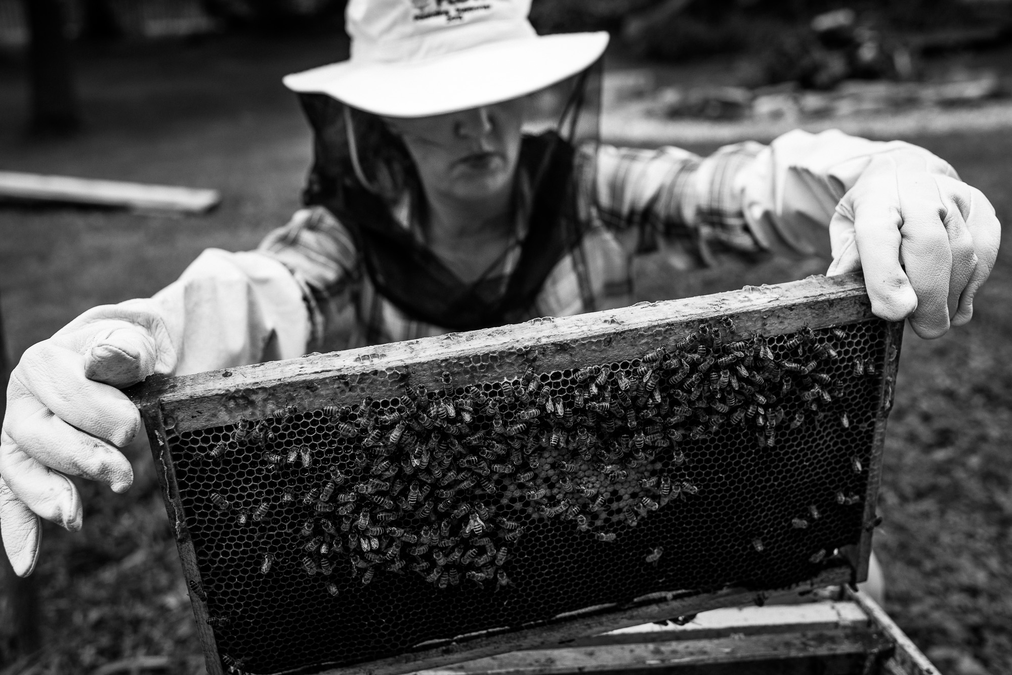 woman in beekeeping outfit holds up a panel of a bee hive