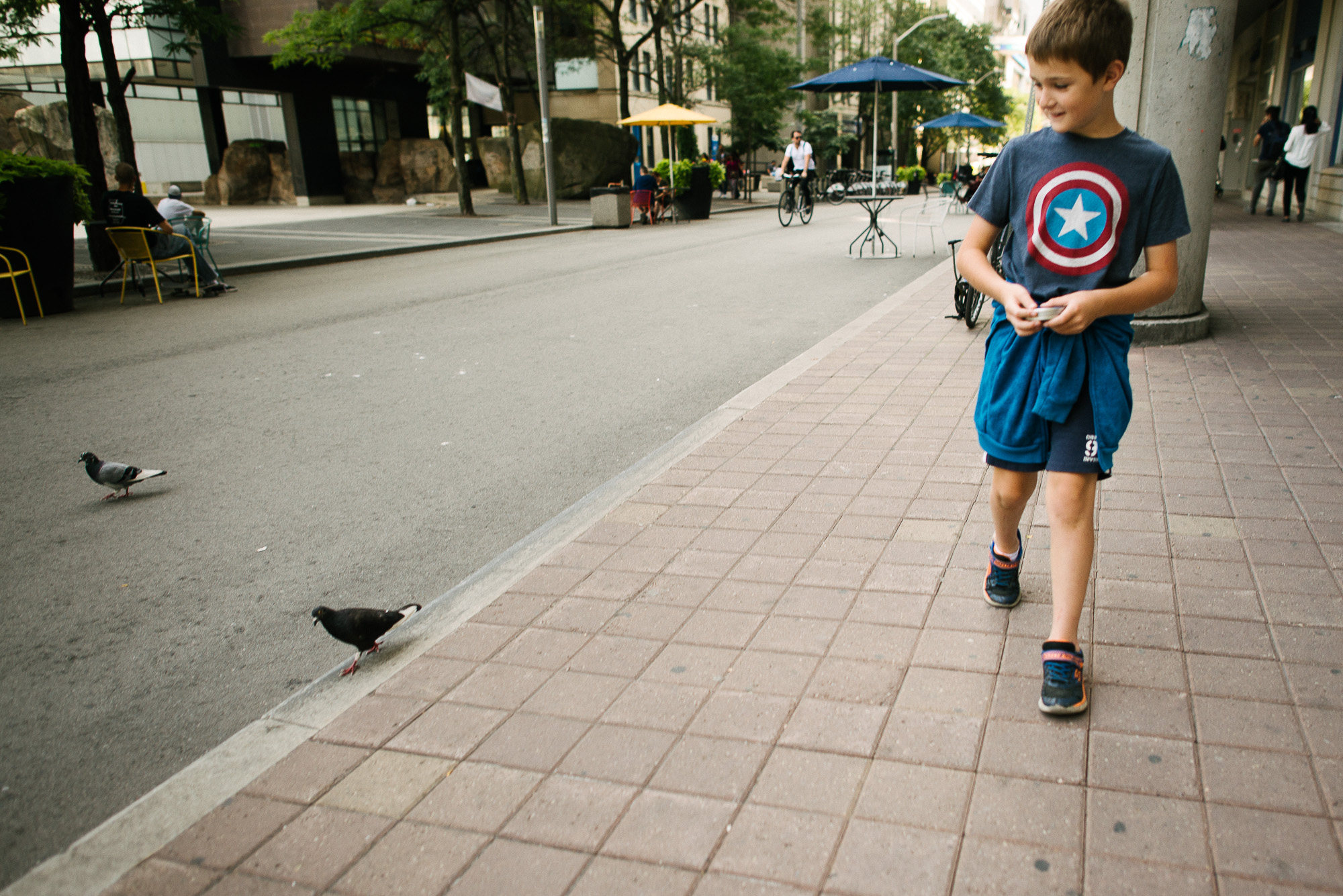 boy looks at pigeons on Victoria street in Toronto