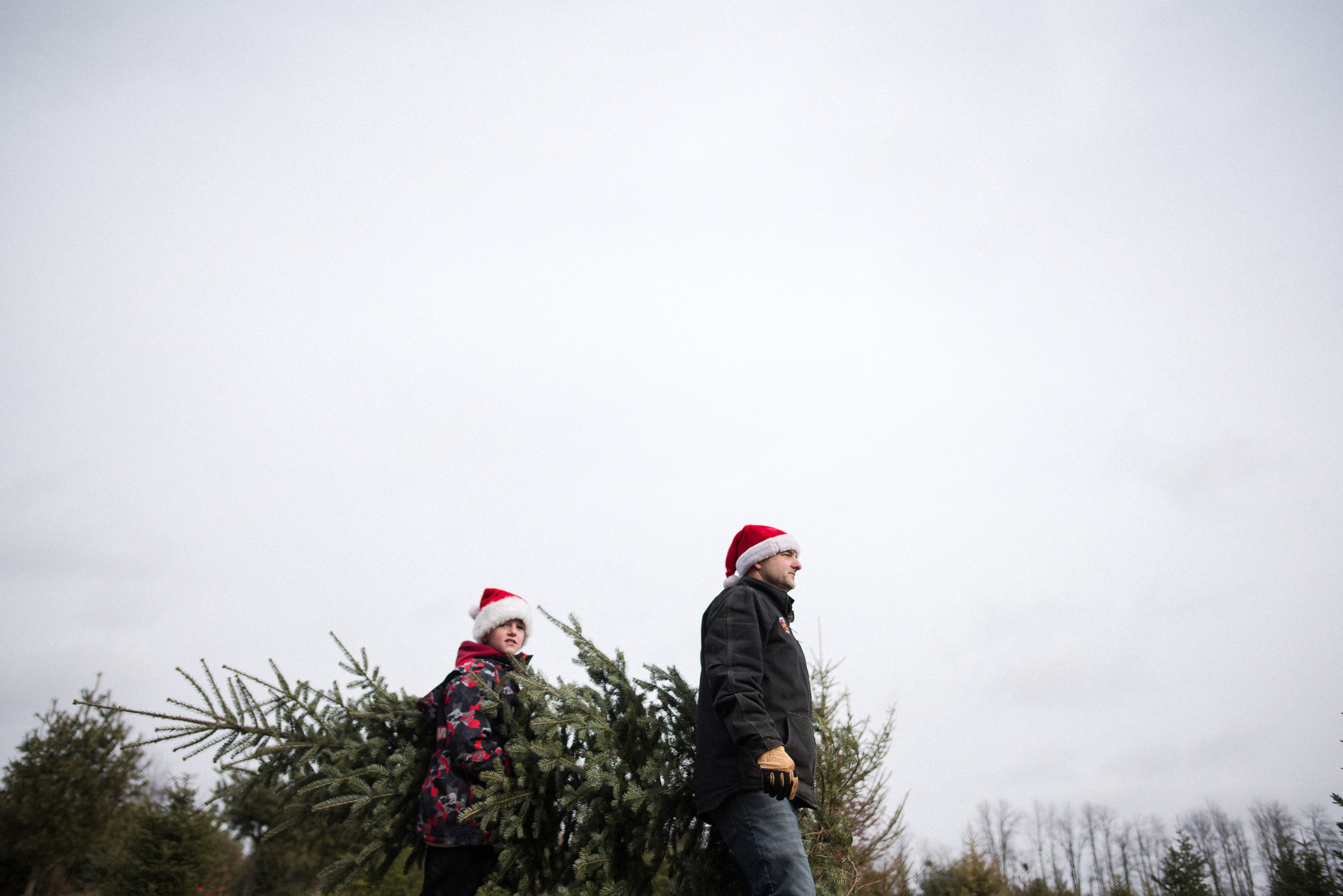 father and son carry a Christmas tree