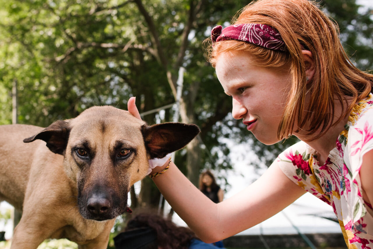 young girl pets family dog at family photo session in Kingston, Ontario