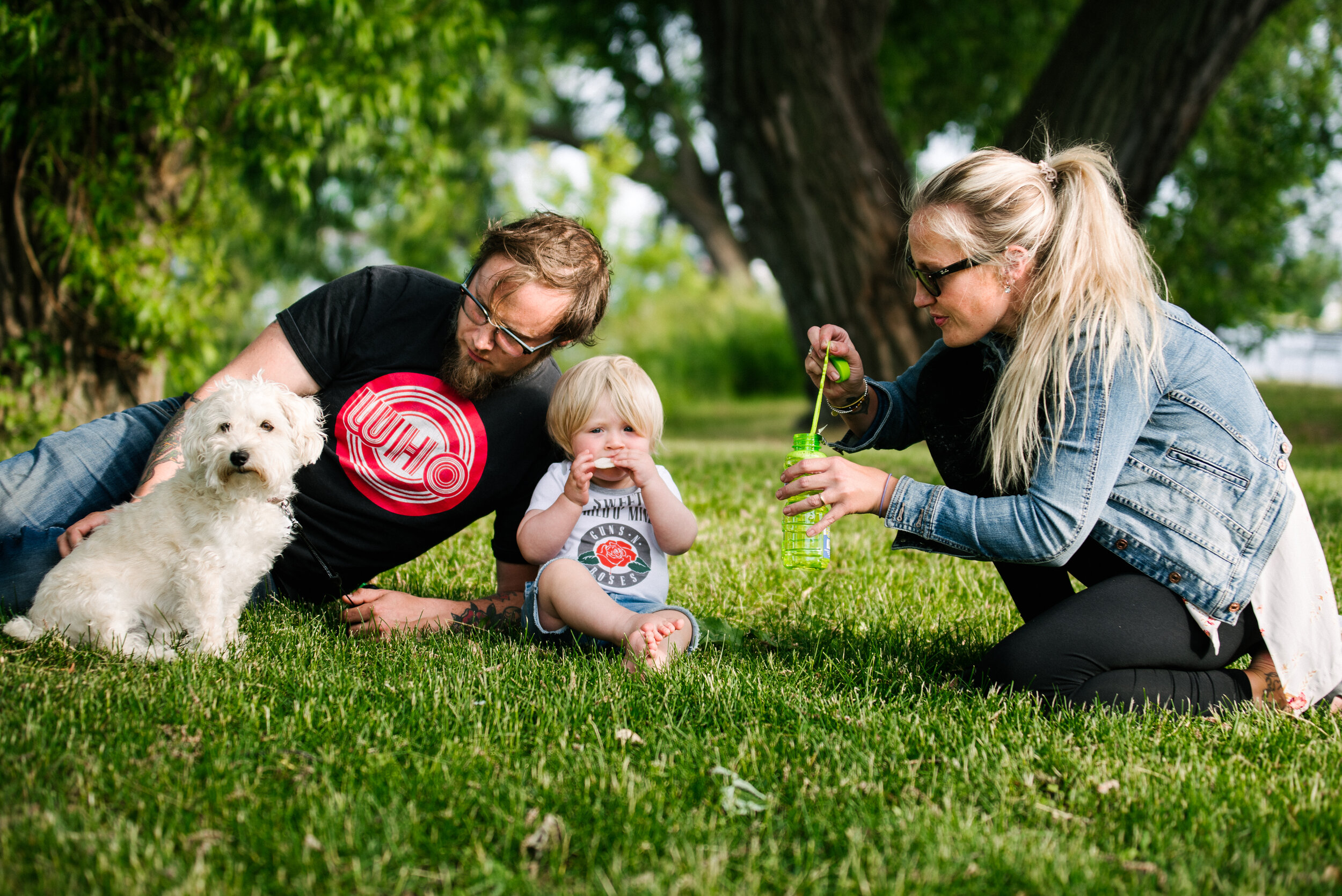 Family with young toddler and dog in the park at family photo session in Kingston Ontario
