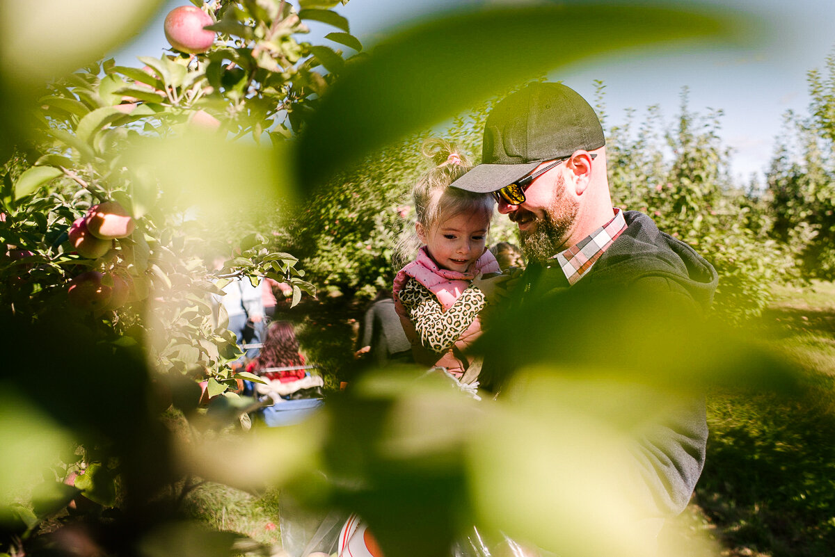 apple picking family documentary photosession at wynn farms near kingston ontario
